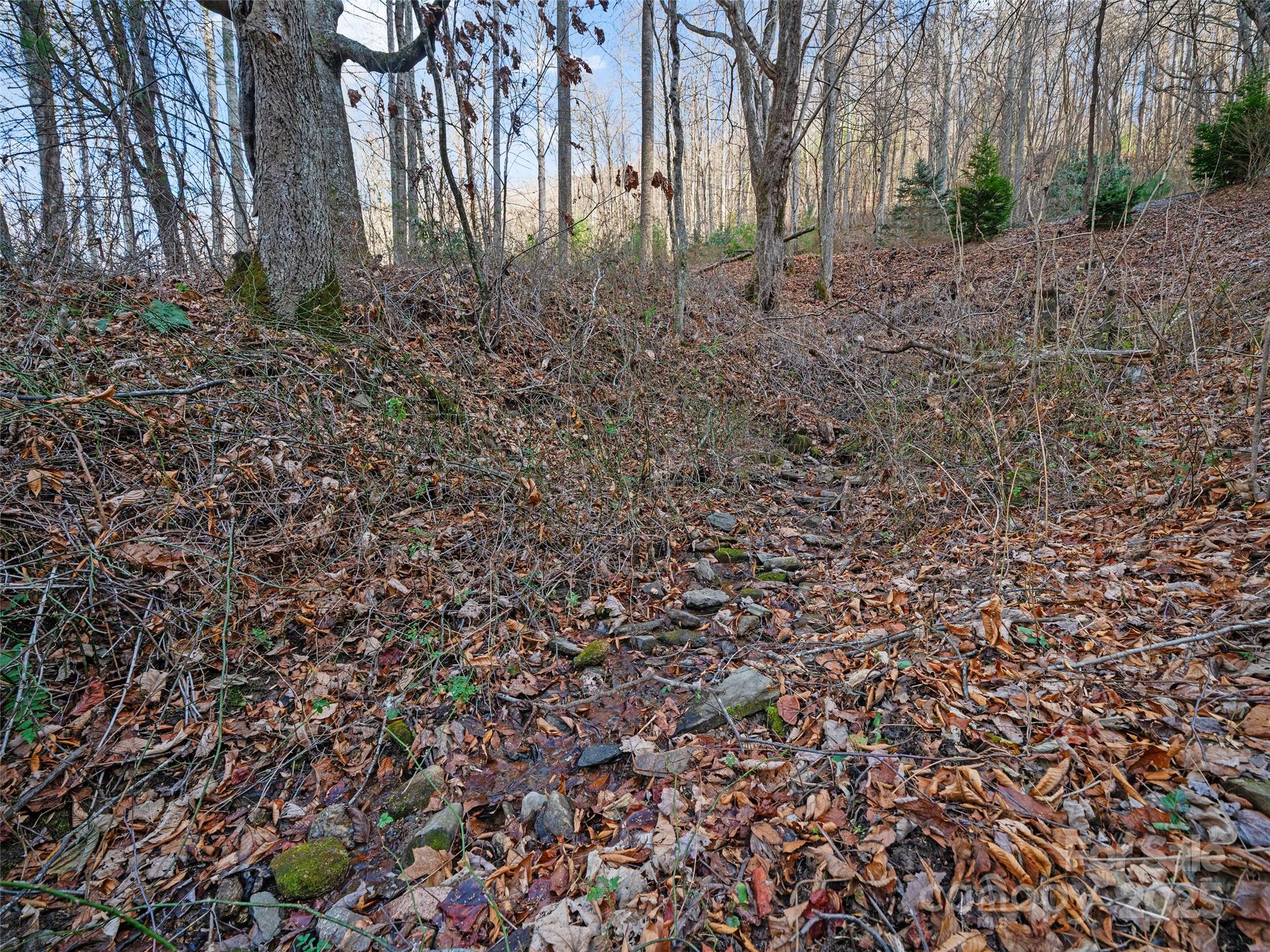 Small Creek that runs through part of the property - 99999 Flora Rose Trail, Asheville