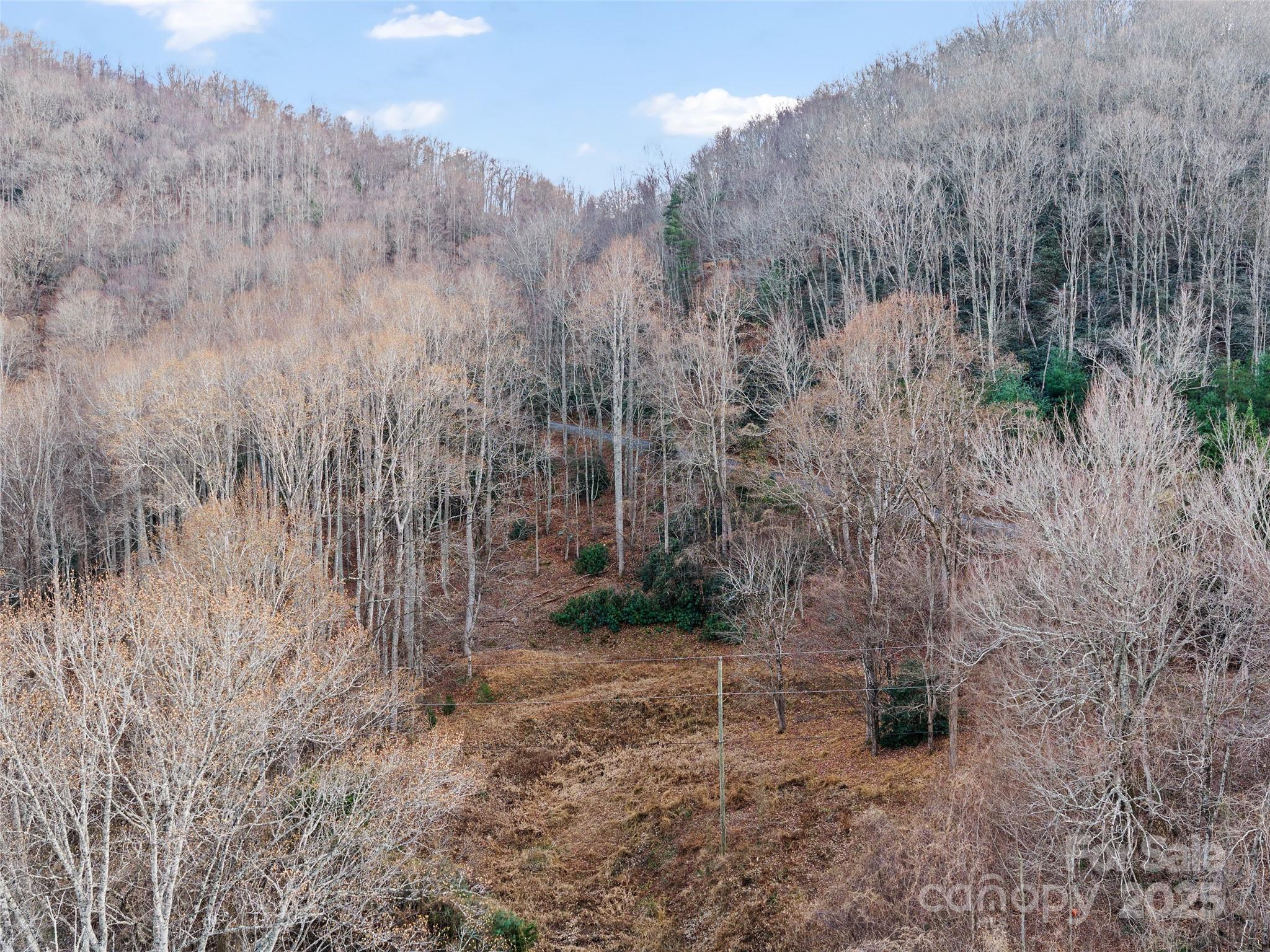 Acreage at 99999 Flora Rose Trail, Asheville, photo 27 of 34