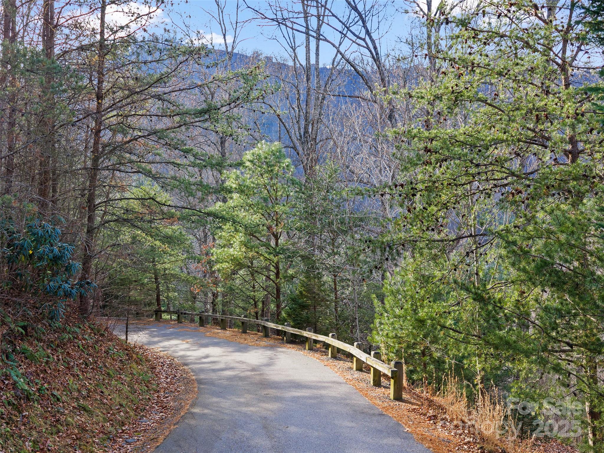 Paved entry, nice mountain views! - 99999 Flora Rose Trail, Asheville