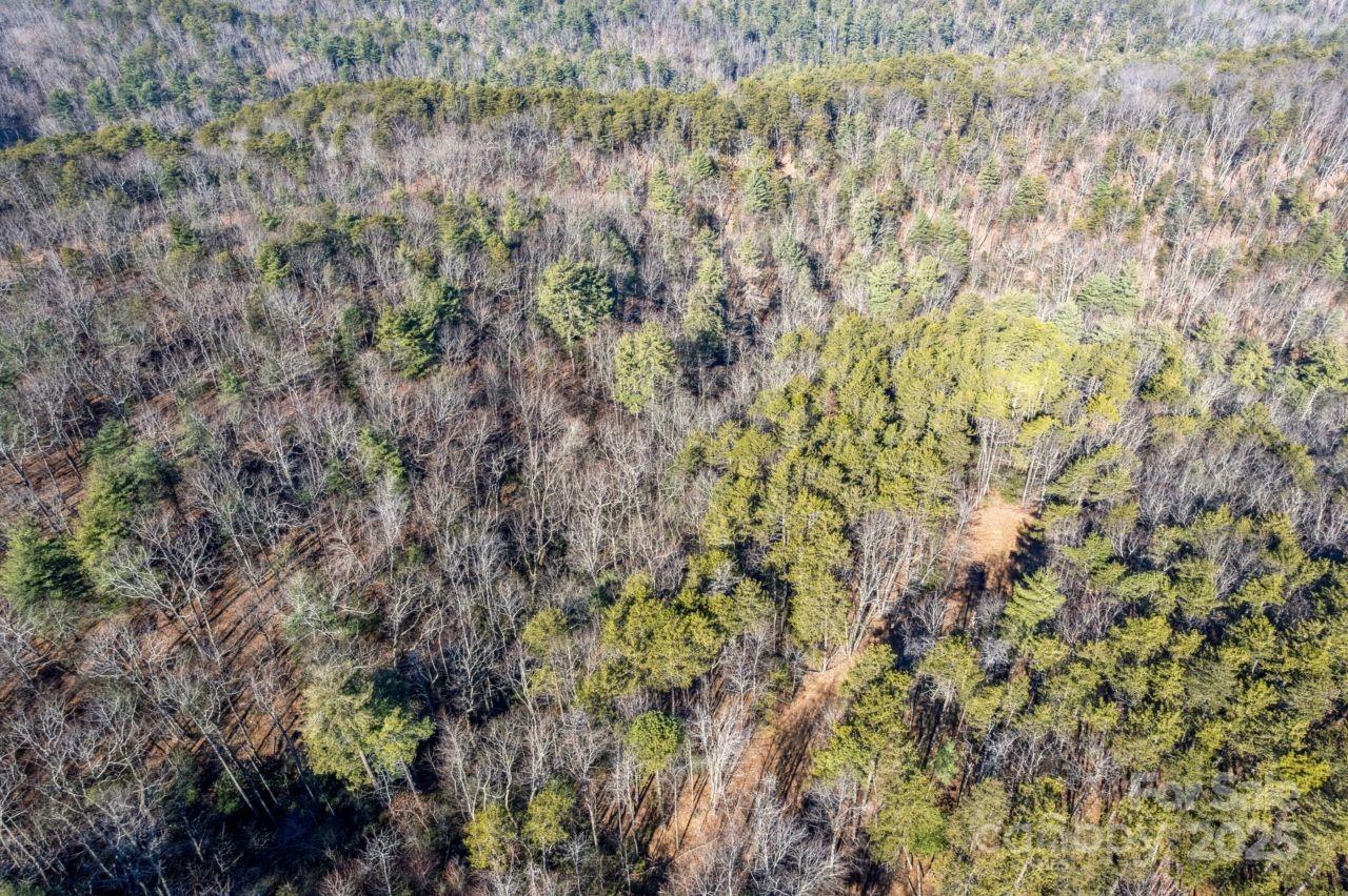 Acreage at 0 SASSAFRAS Lane, Connelly Springs, photo 2 of 12