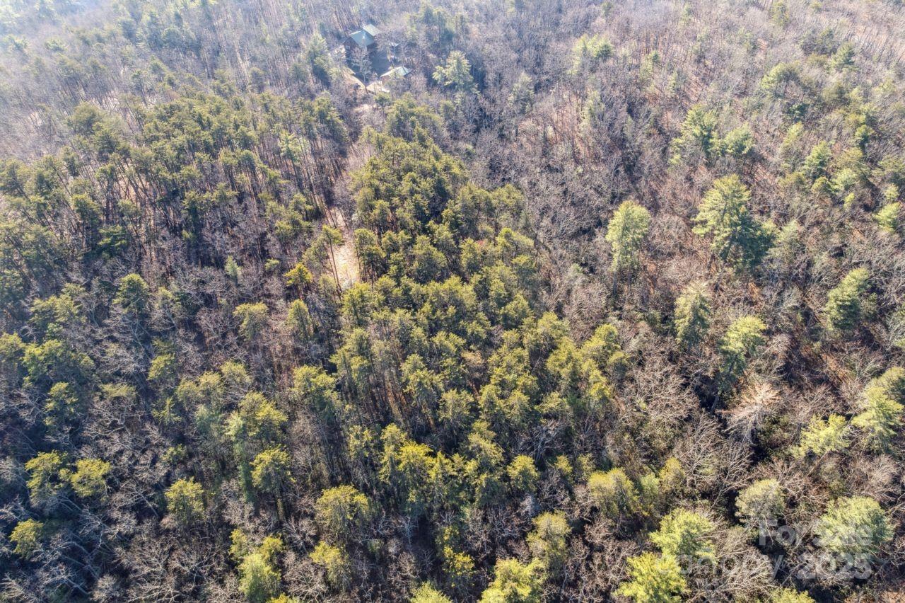 Acreage at 0 SASSAFRAS Lane, Connelly Springs, photo 7 of 12