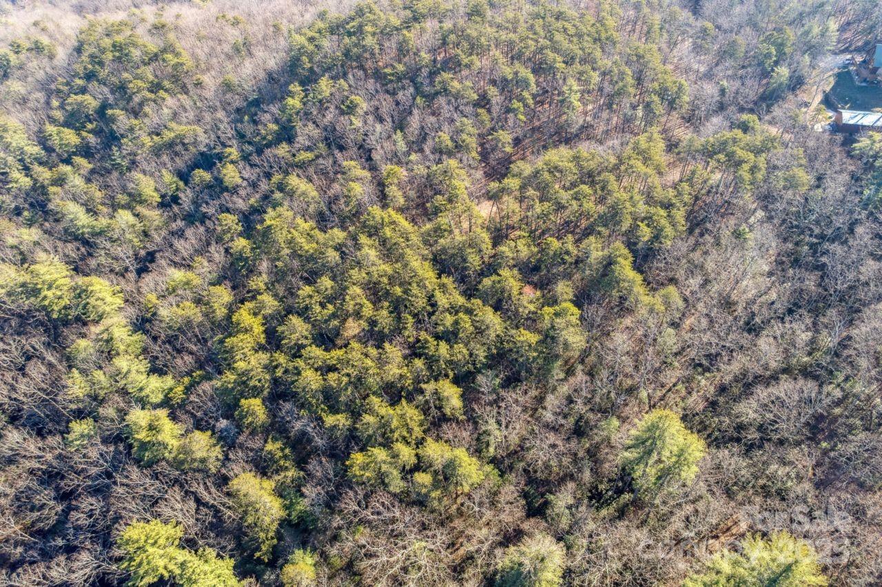 Acreage at 0 SASSAFRAS Lane, Connelly Springs, photo 8 of 12