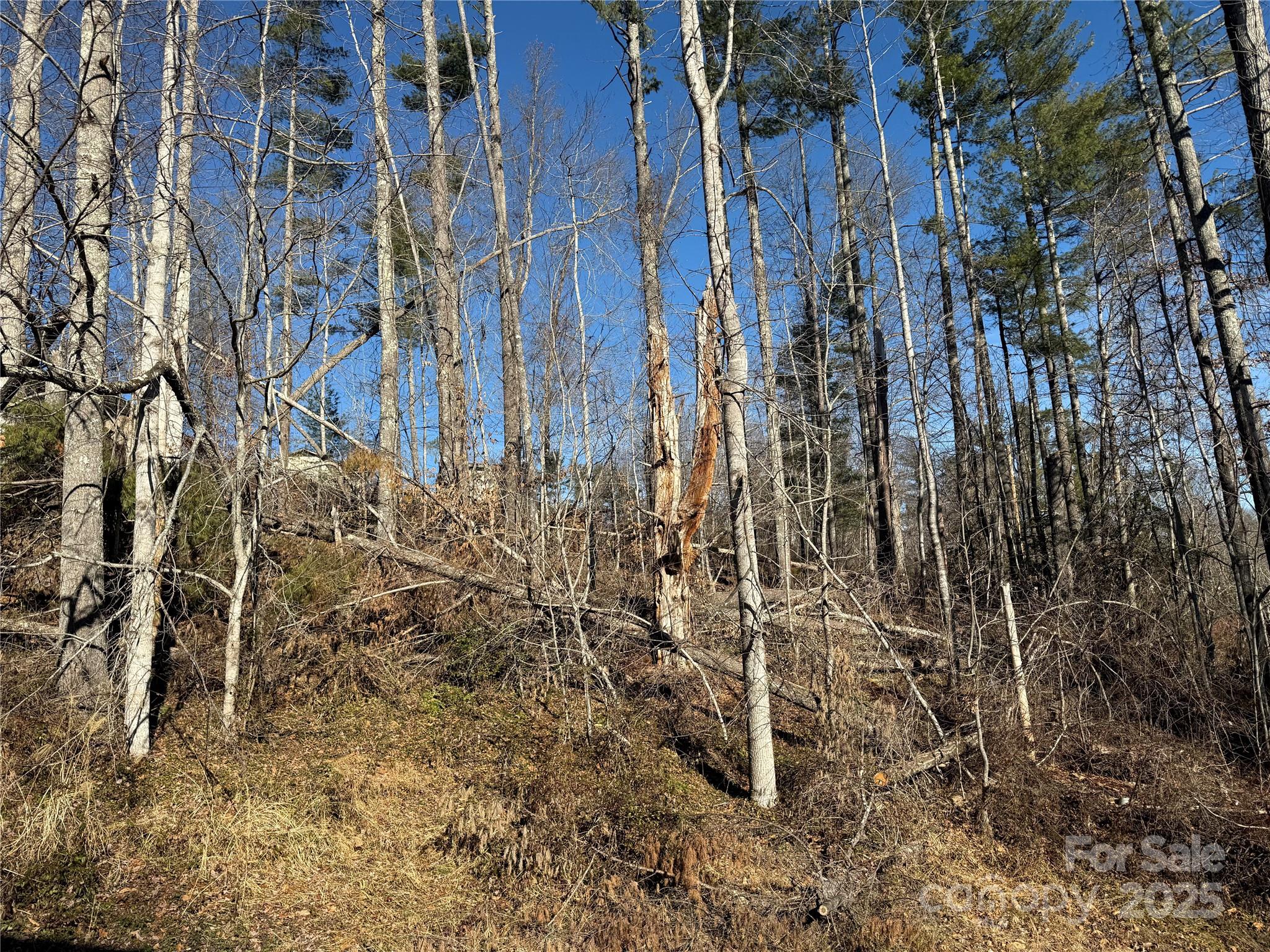 Acreage at TBD George McKinney Circle, Spruce Pine, photo 7 of 10