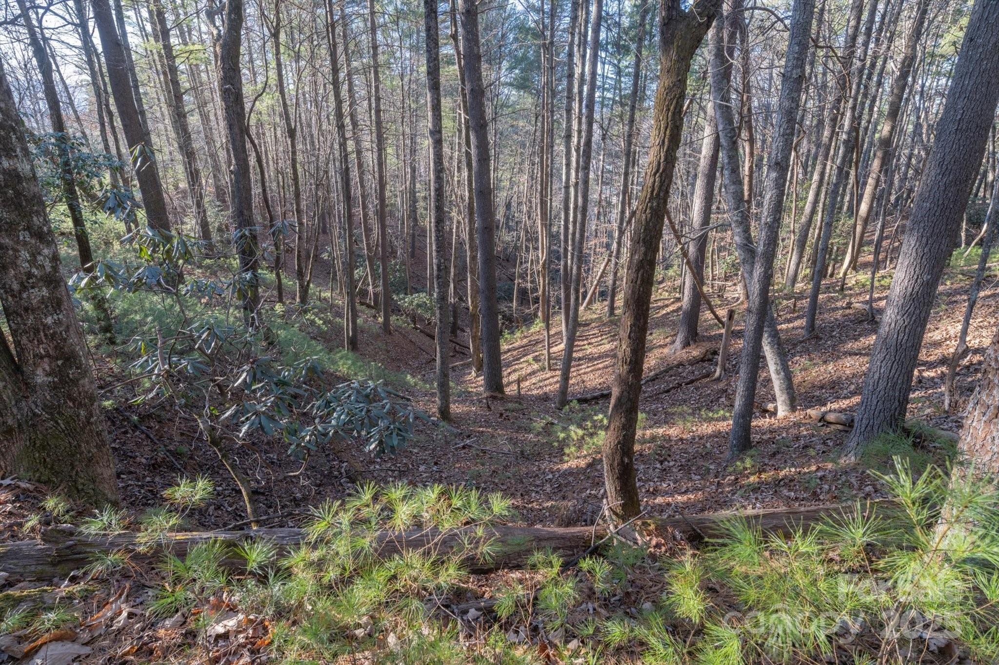 Lot at 49 Lake James Road, Marion, photo 9 of 25