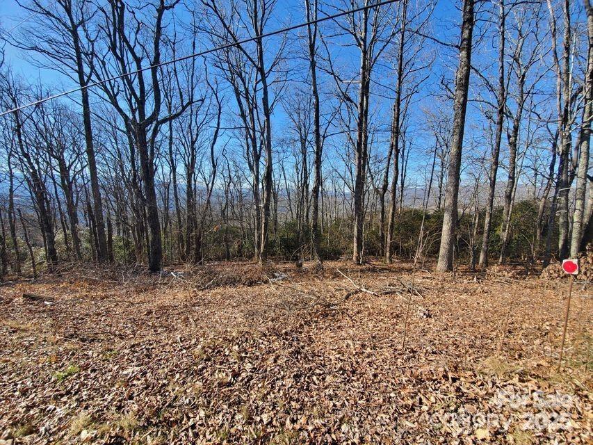 Acreage at TBD Henredon Road, Spruce Pine, photo 5 of 10