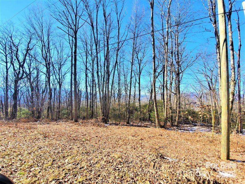 Acreage at TBD Henredon Road, Spruce Pine, photo 6 of 10