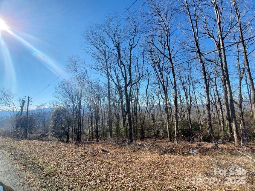 Acreage at TBD Henredon Road, Spruce Pine, photo 8 of 10