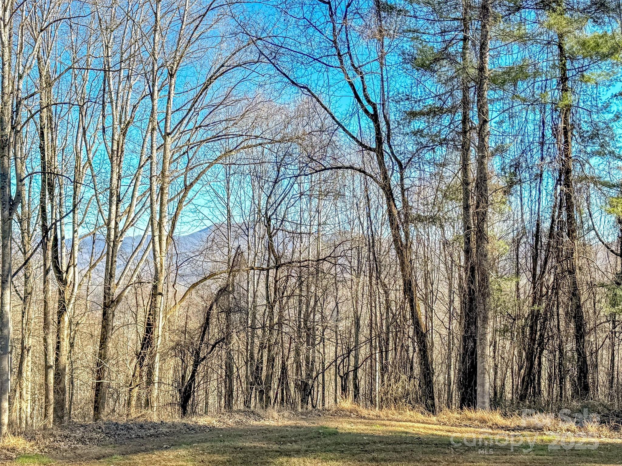 Single Family Residence at 284 Cutting Edge Drive, Sylva, photo 30 of 35