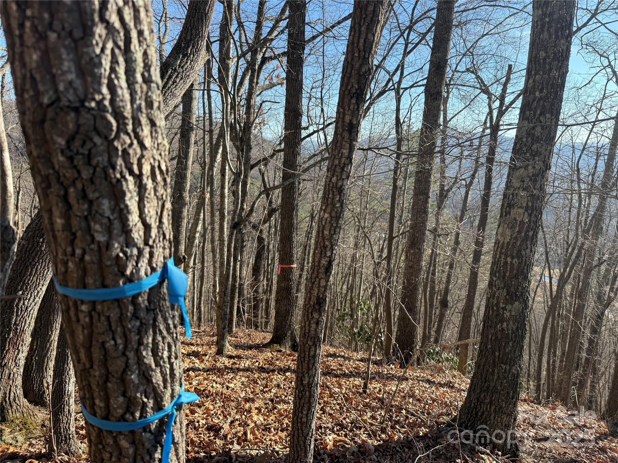 Lot at Lot 12 Bernies Trail, Waynesville, photo 2 of 17
