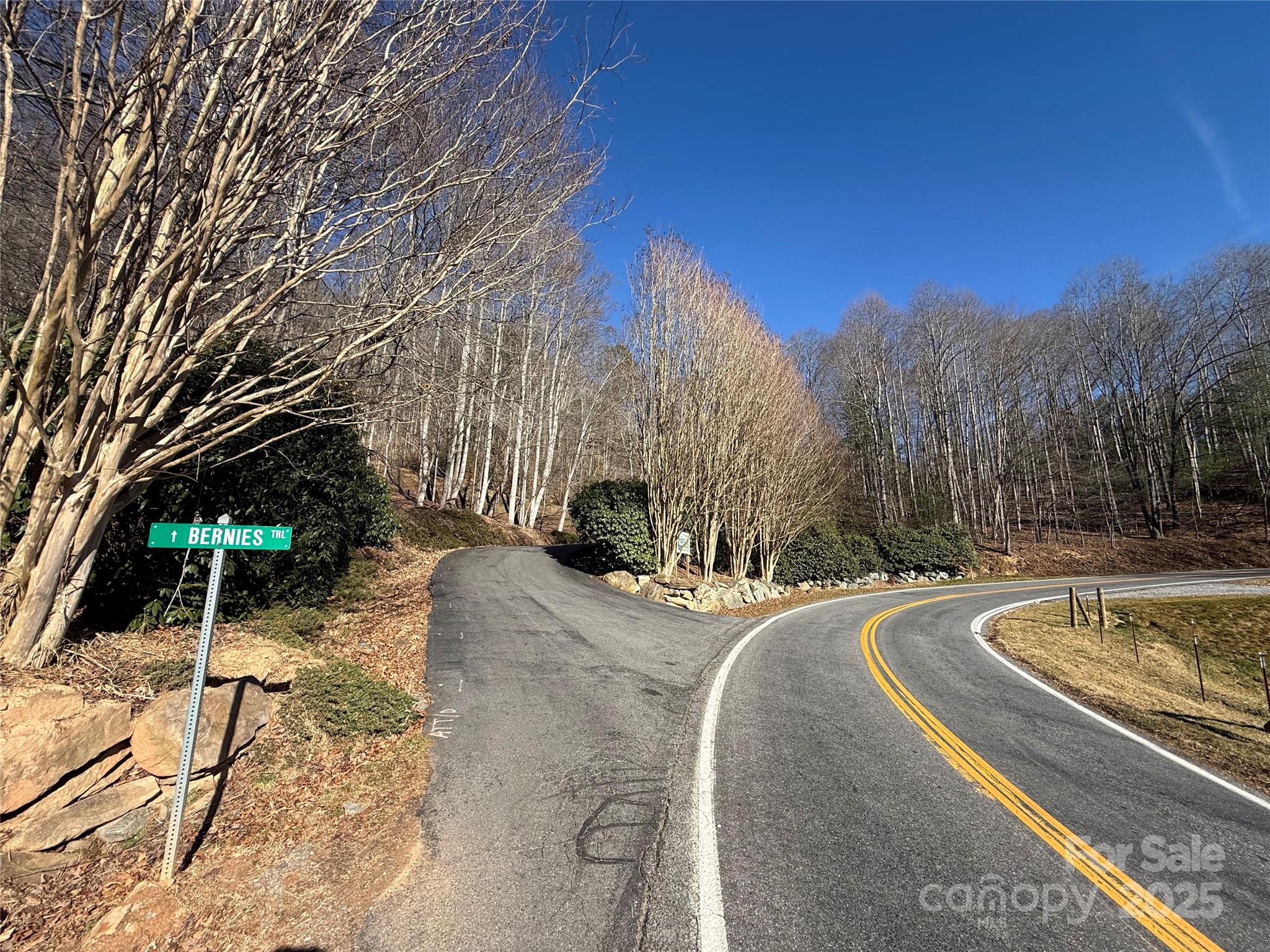 Lot at Lot 12 Bernies Trail, Waynesville, photo 6 of 17