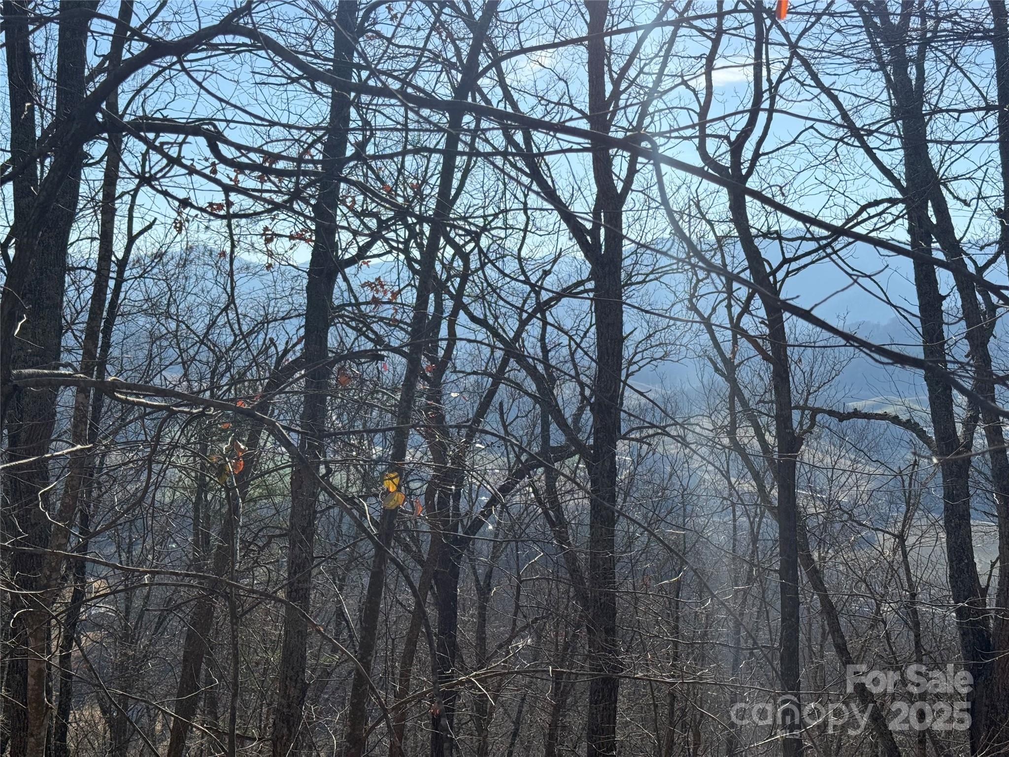 Lot at Lot 12 Bernies Trail, Waynesville, photo 16 of 17
