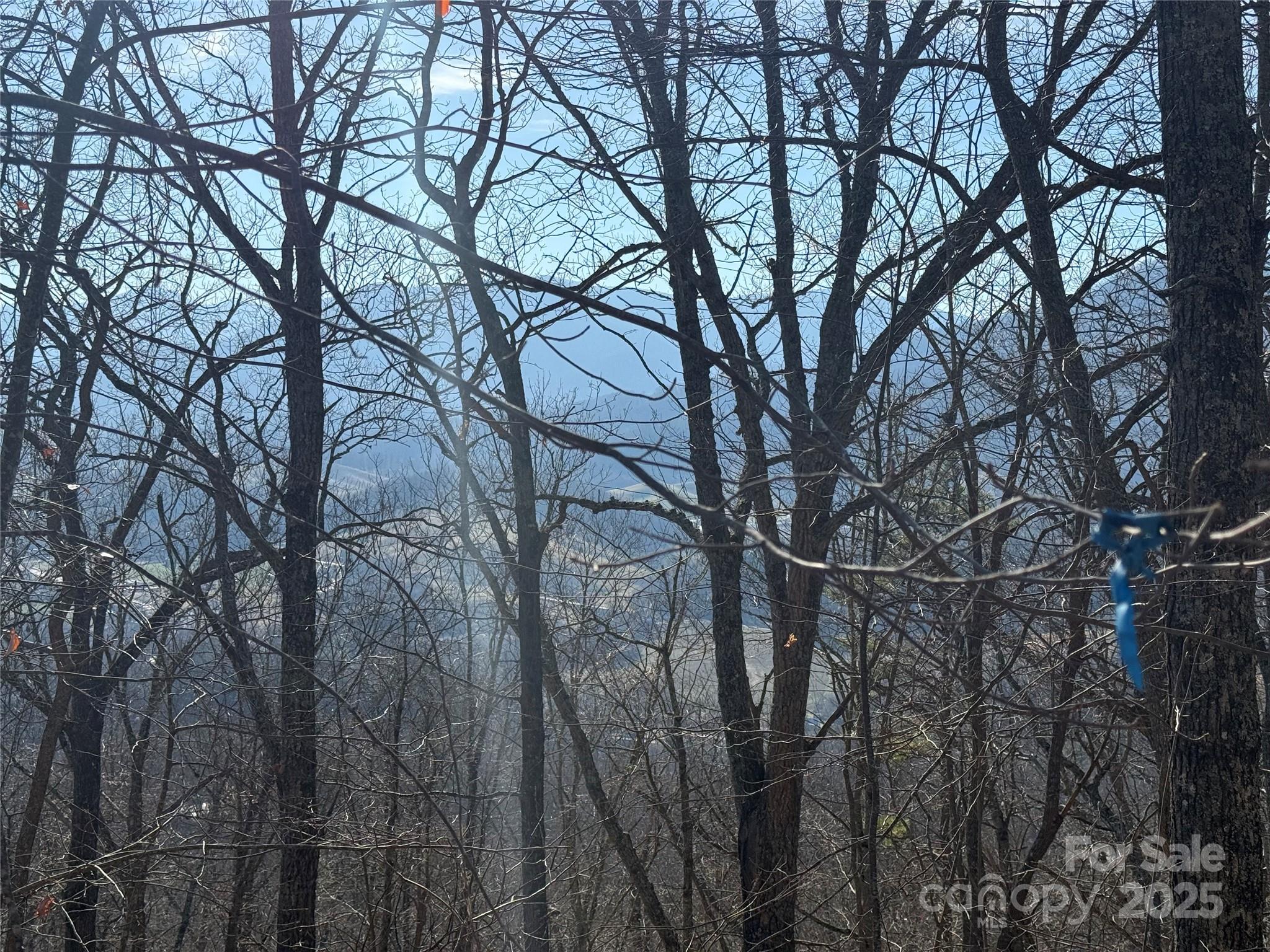 Lot at Lot 12 Bernies Trail, Waynesville, photo 17 of 17