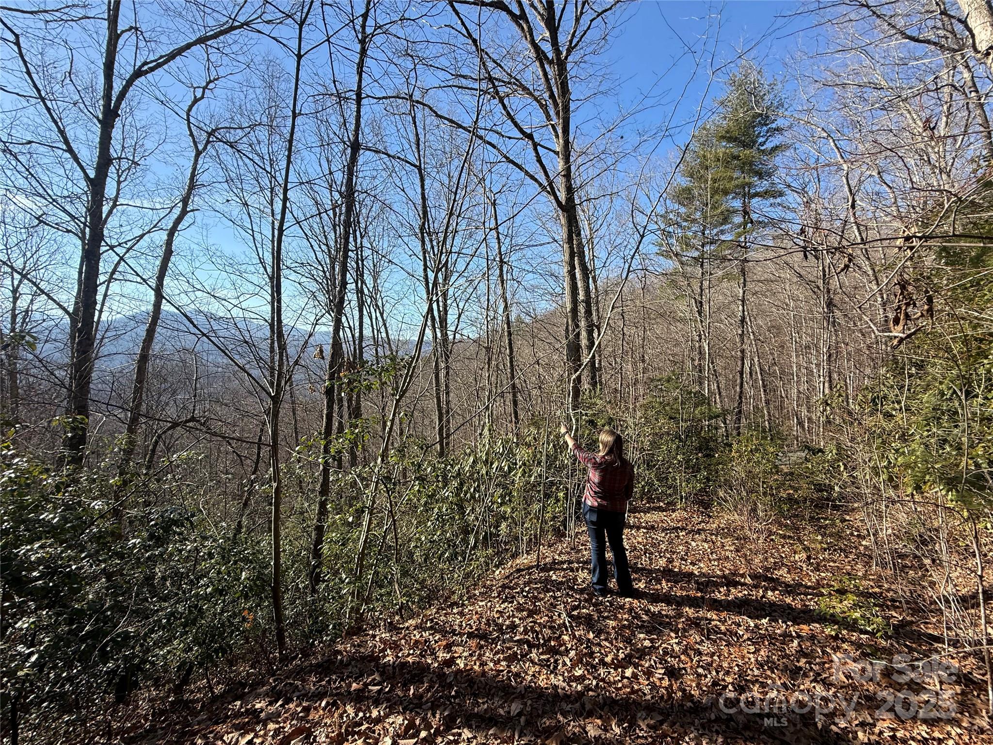 Lot at Lot 27 Bernies Trail, Waynesville, photo 2 of 18