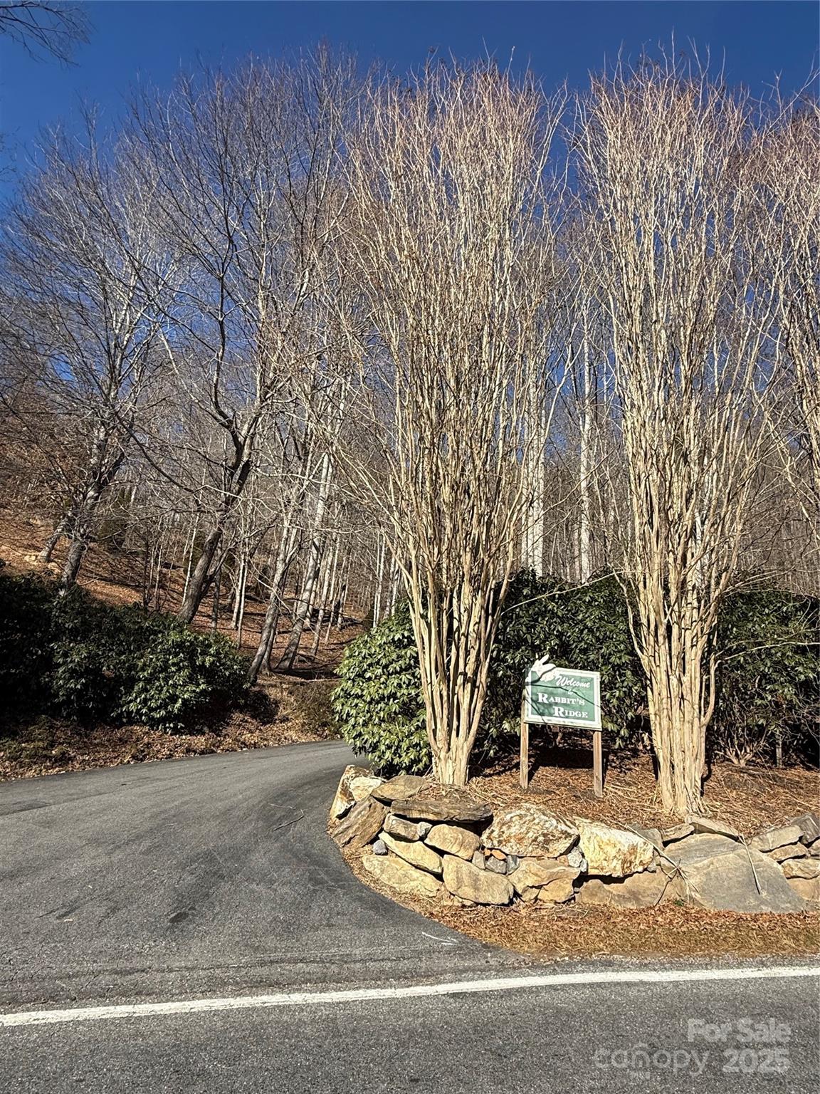 Lot at Lot 27 Bernies Trail, Waynesville, photo 7 of 18