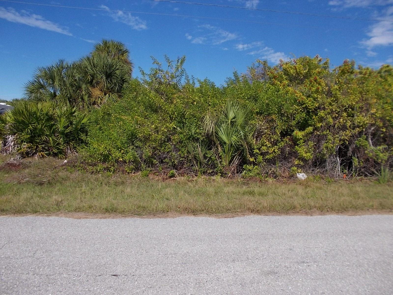 Looking at Lot from street - 14350 MAYSVILLE CIR, PORT CHARLOTTE