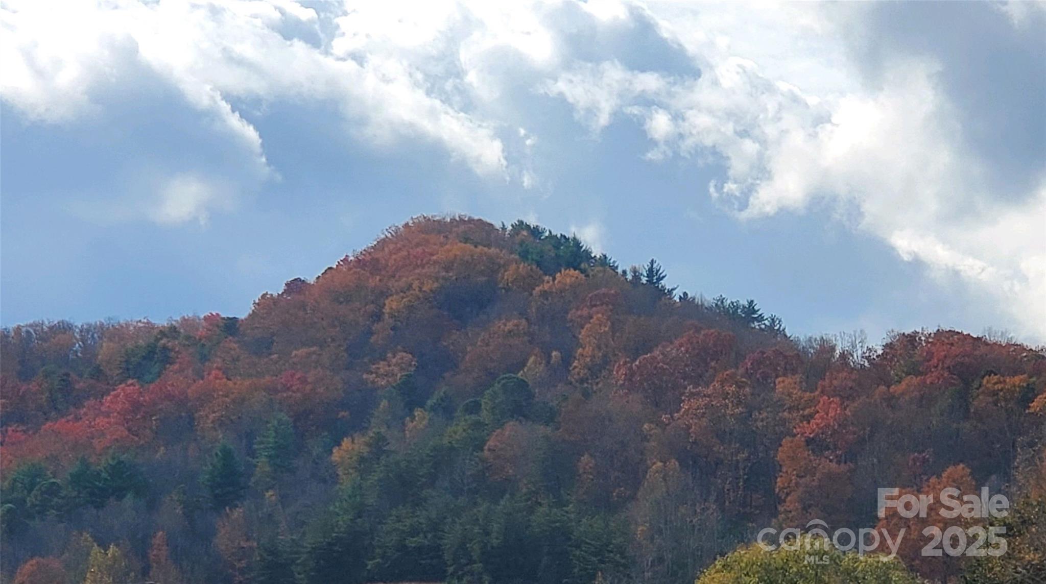 Fall colors are beautiful all-around the Hot Springs area. This knoll, just west of the house, is part of the view west from the front porch! - 626 Fairview Loop, Hot Springs