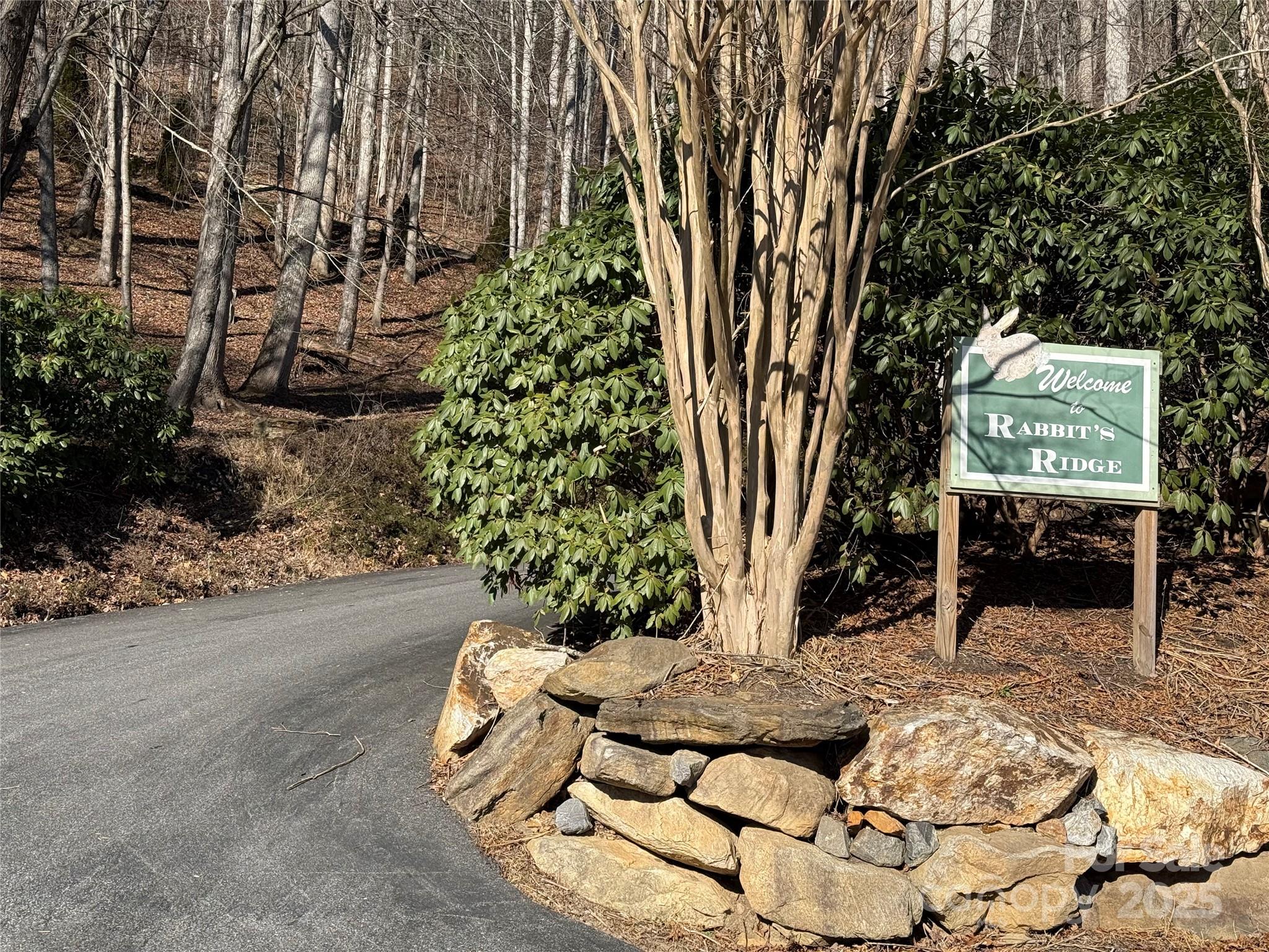 Lot at Lot 14 Bernies Trail, Waynesville, photo 5 of 18