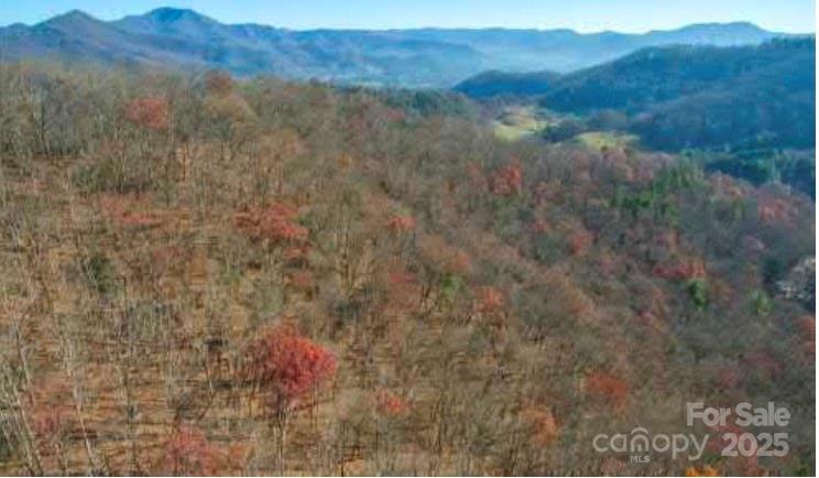 Lot at Lot 14 Bernies Trail, Waynesville, photo 11 of 18