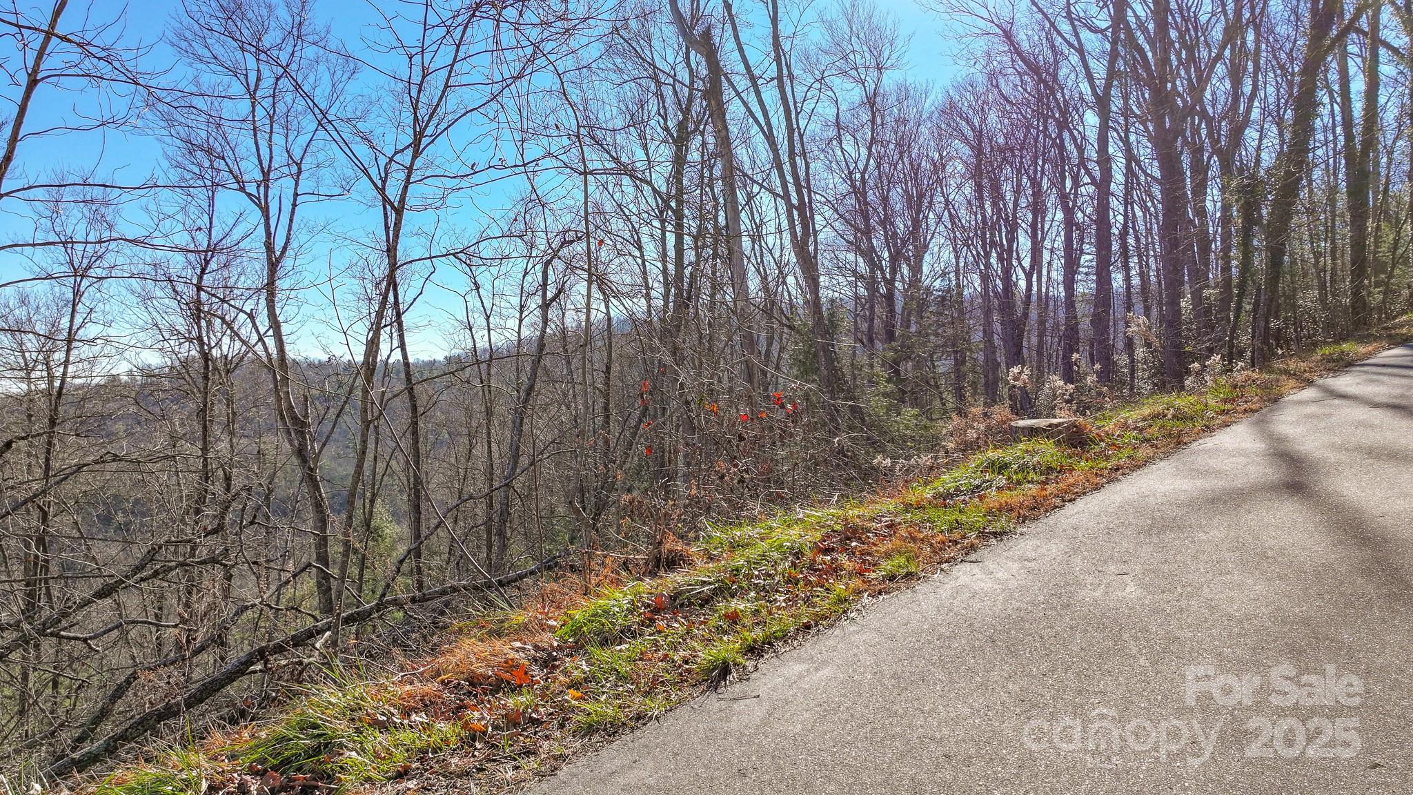 Paved road access. - TBD MCHONE Road, Spruce Pine
