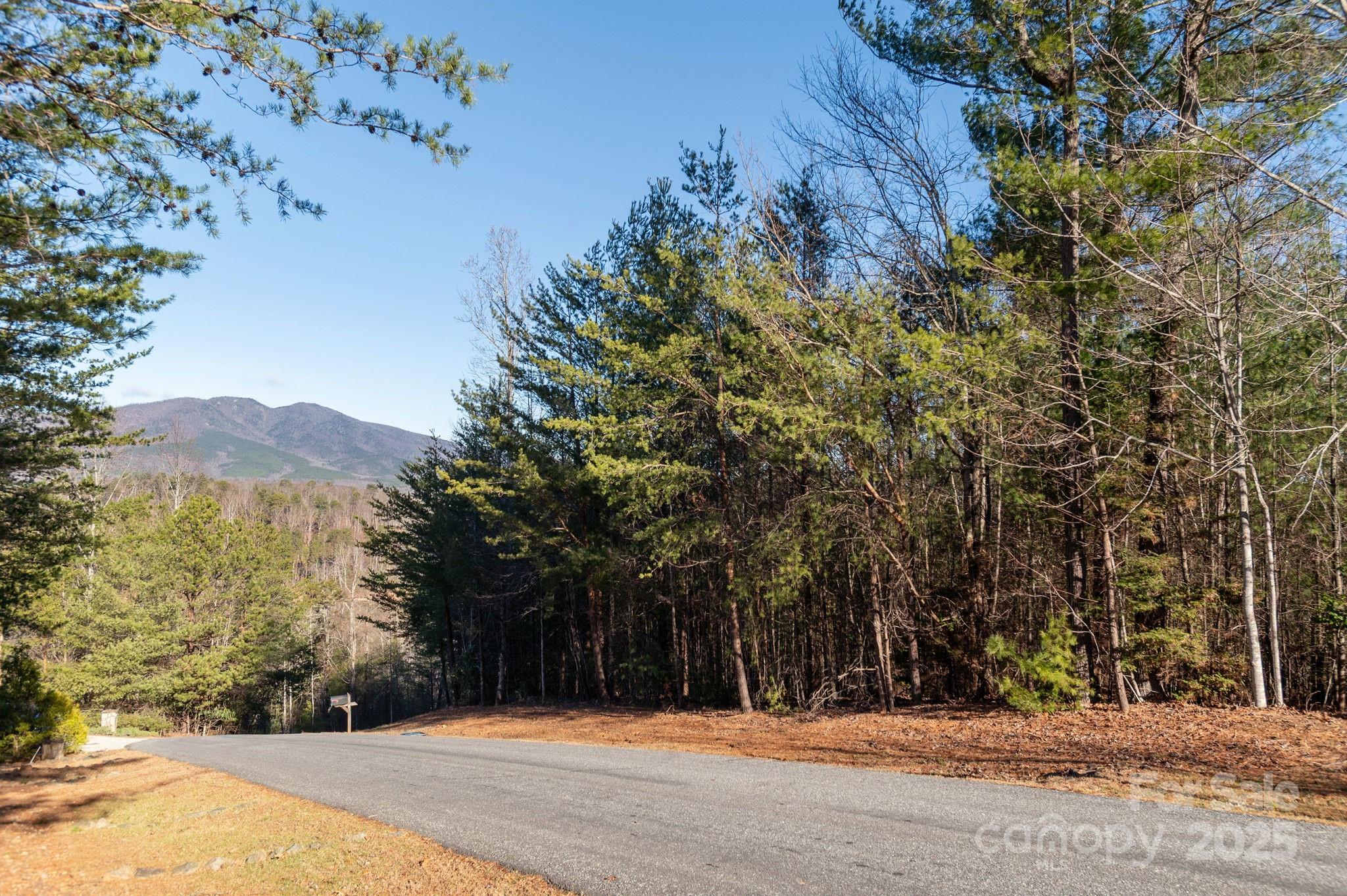 Lot at TBD Dockside Drive, Nebo, photo 6 of 17