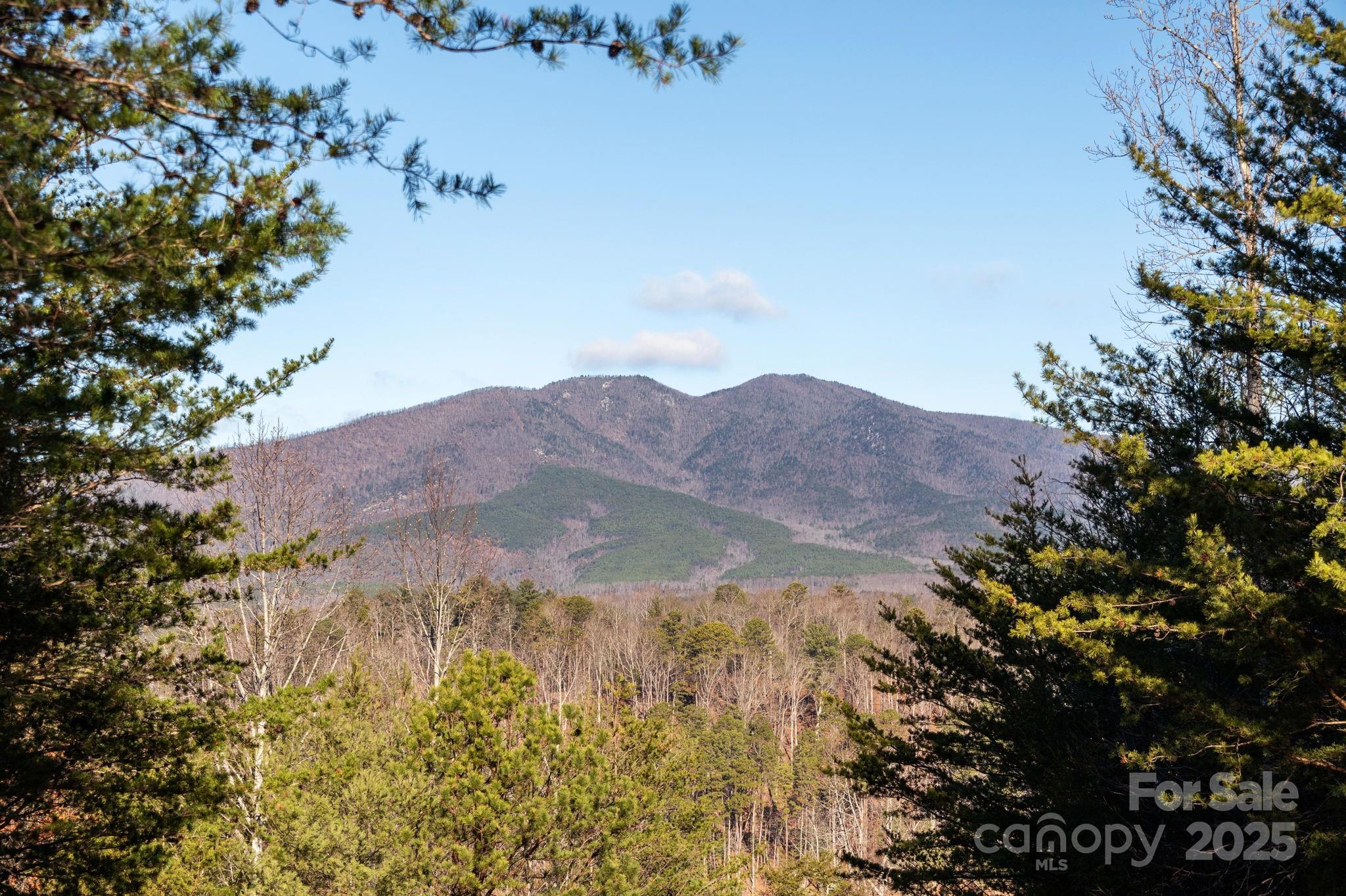 Lot at TBD Dockside Drive, Nebo, photo 7 of 17