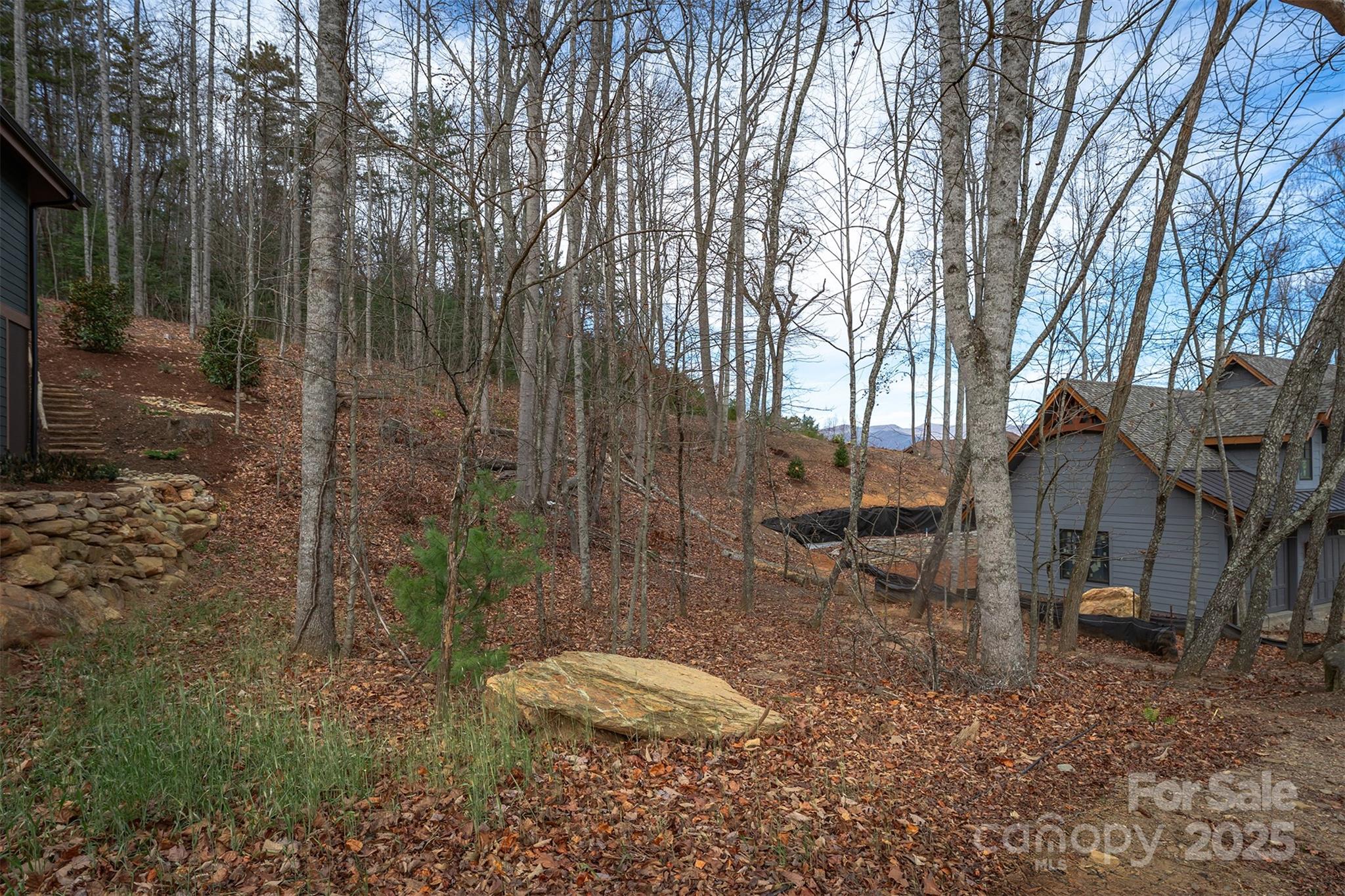 Lot at 31 Old Lafayette Lane, Black Mountain, photo 3 of 76