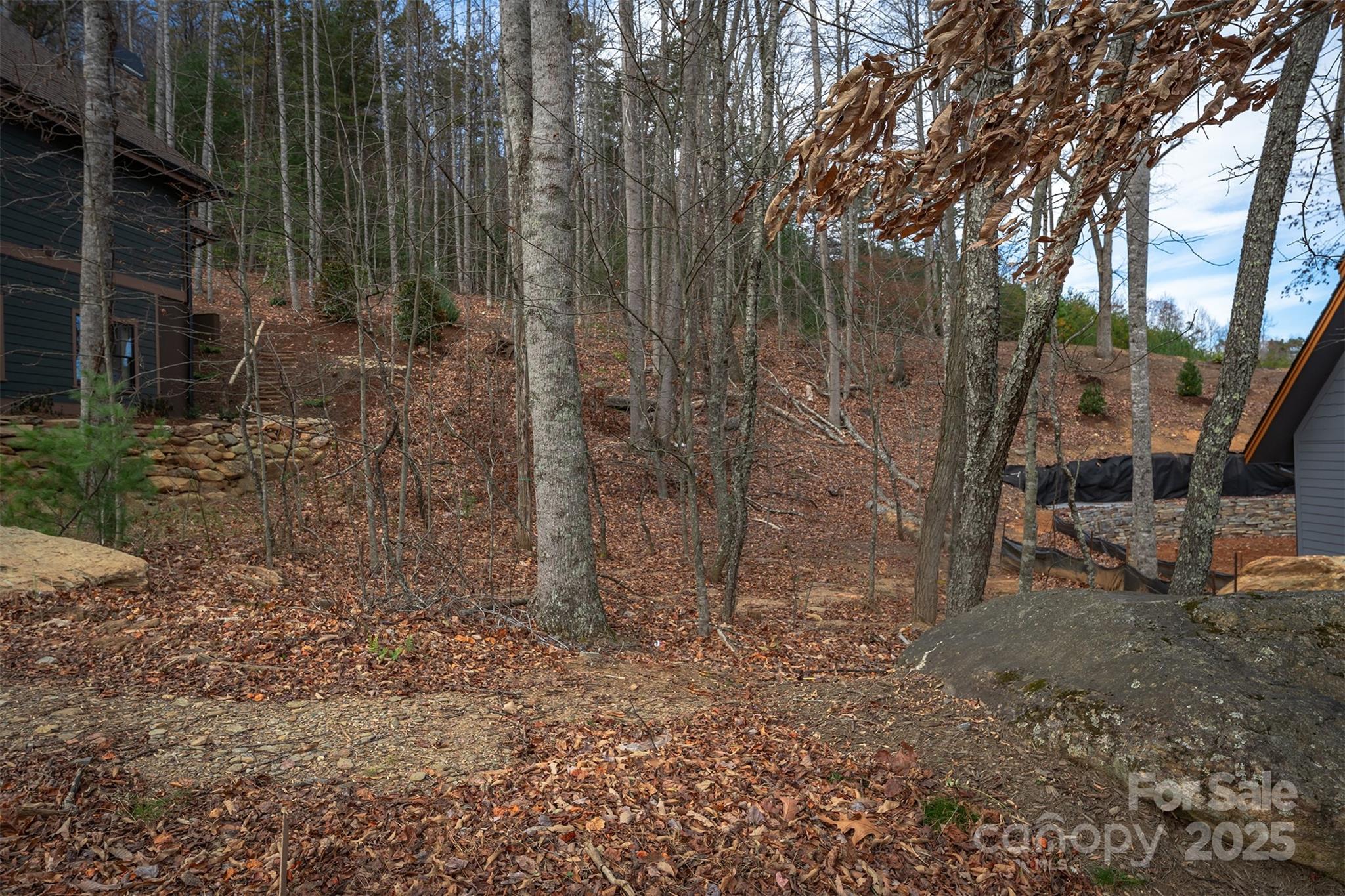 Lot at 31 Old Lafayette Lane, Black Mountain, photo 7 of 76