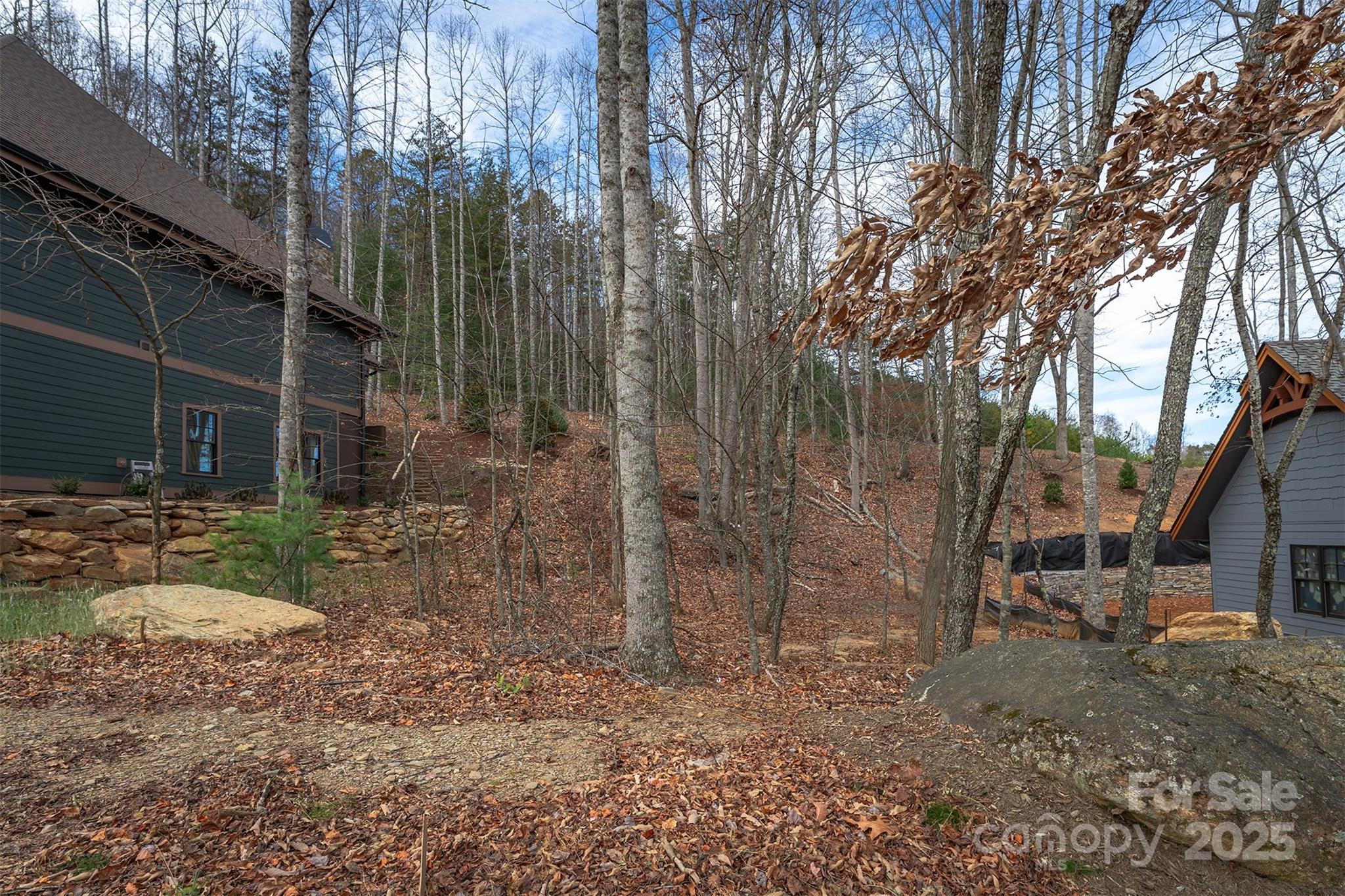 Lot at 31 Old Lafayette Lane, Black Mountain, photo 9 of 76