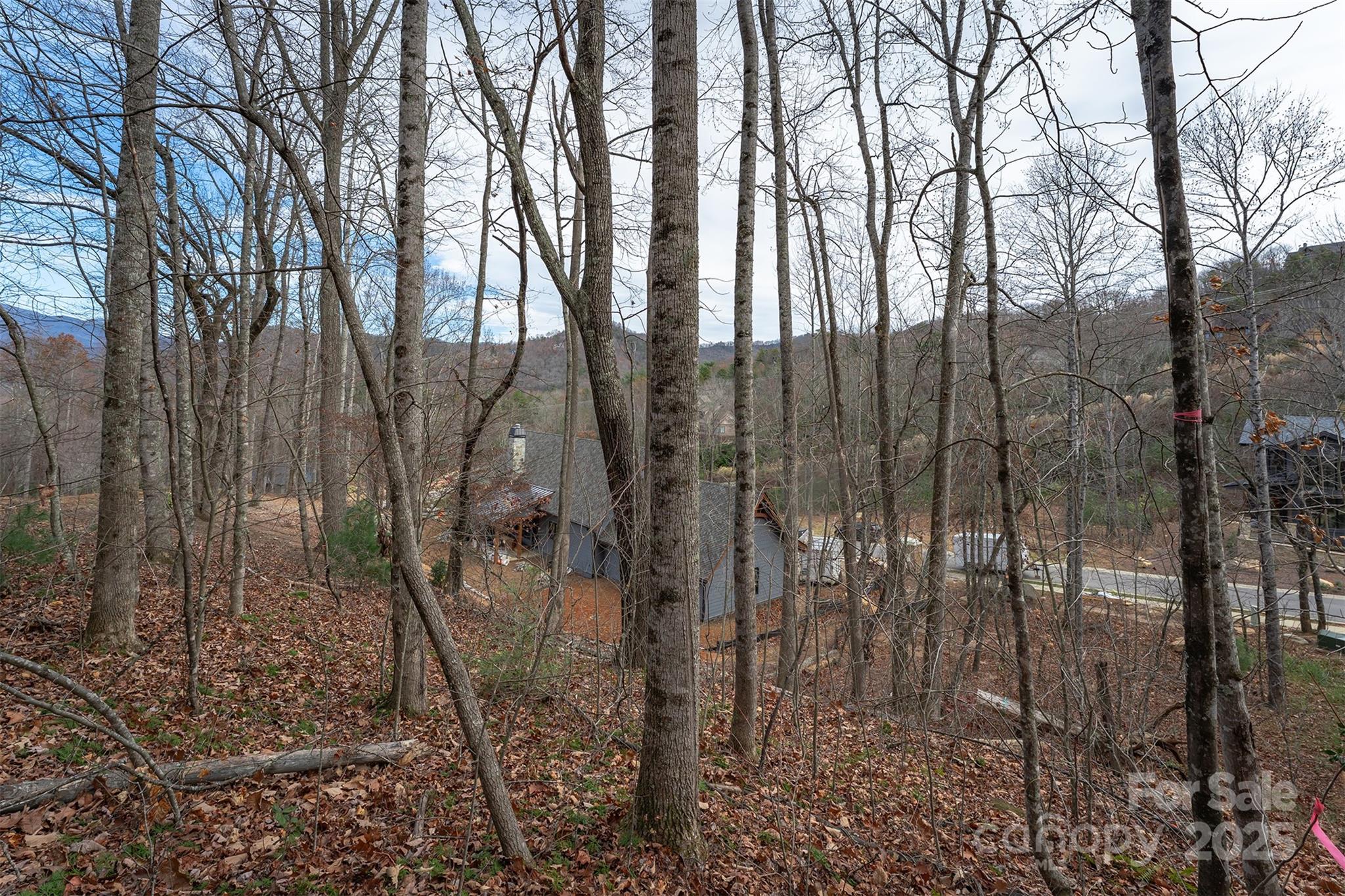 Lot at 31 Old Lafayette Lane, Black Mountain, photo 17 of 76