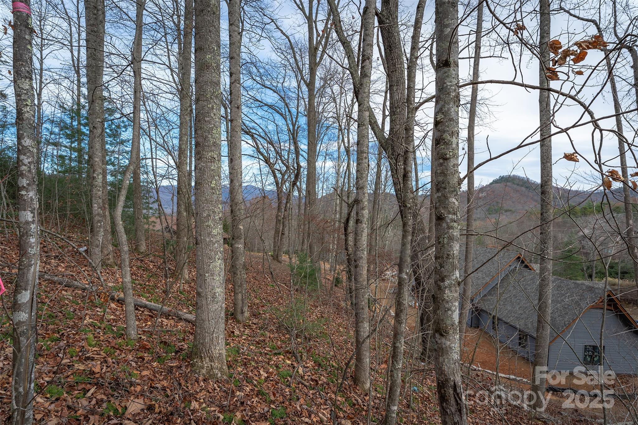 Lot at 31 Old Lafayette Lane, Black Mountain, photo 19 of 76