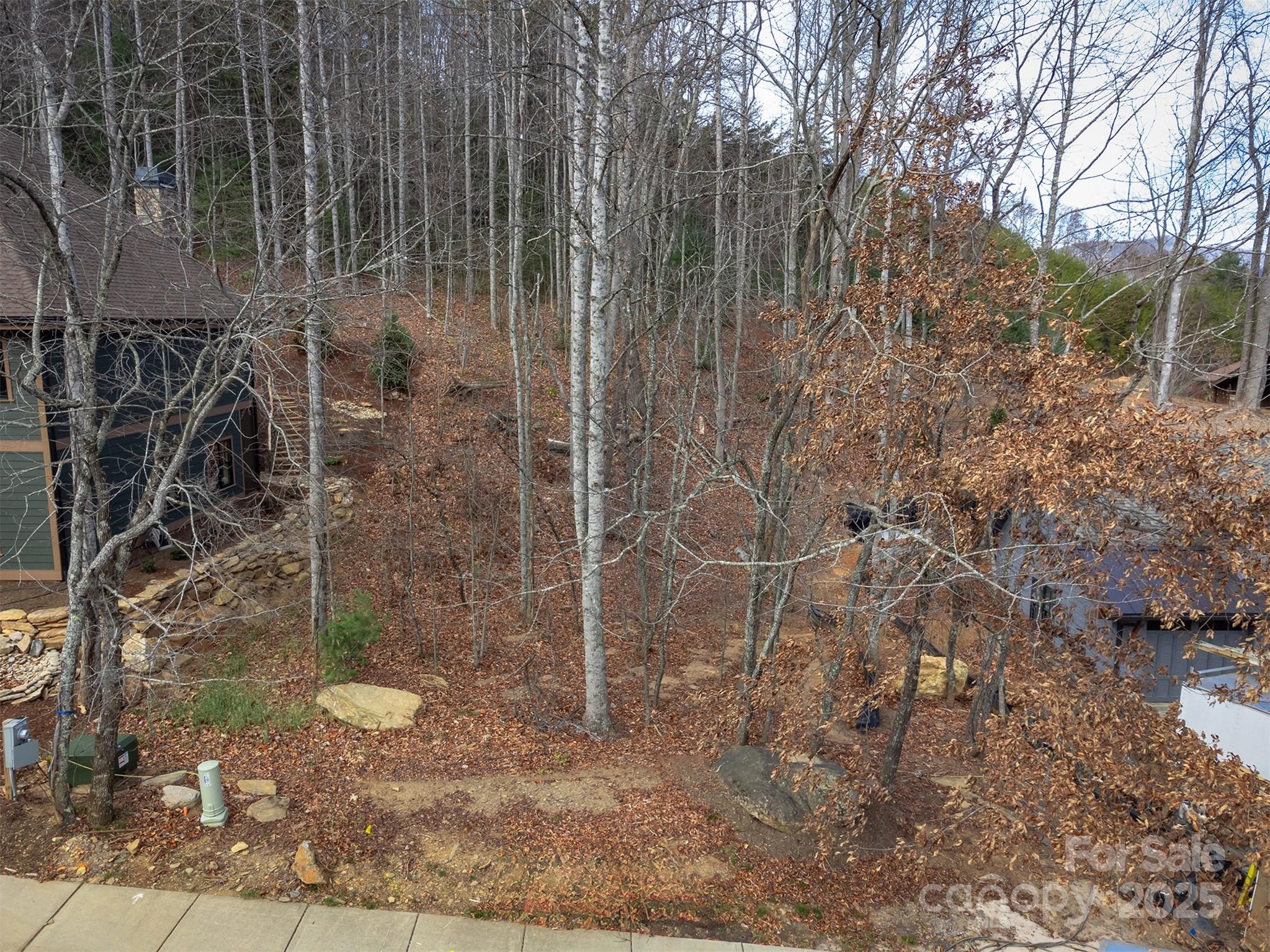 Lot at 31 Old Lafayette Lane, Black Mountain, photo 31 of 76