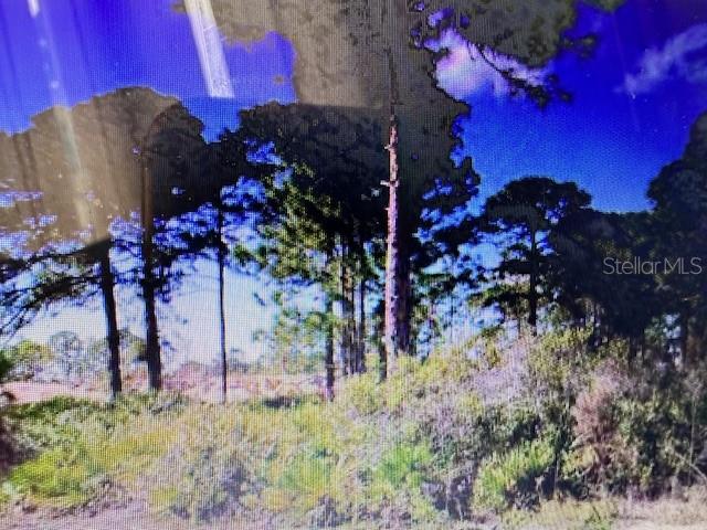 Land at 0 S TOLEDO BLADE BLVD N, NORTH PORT, photo 4 of 6