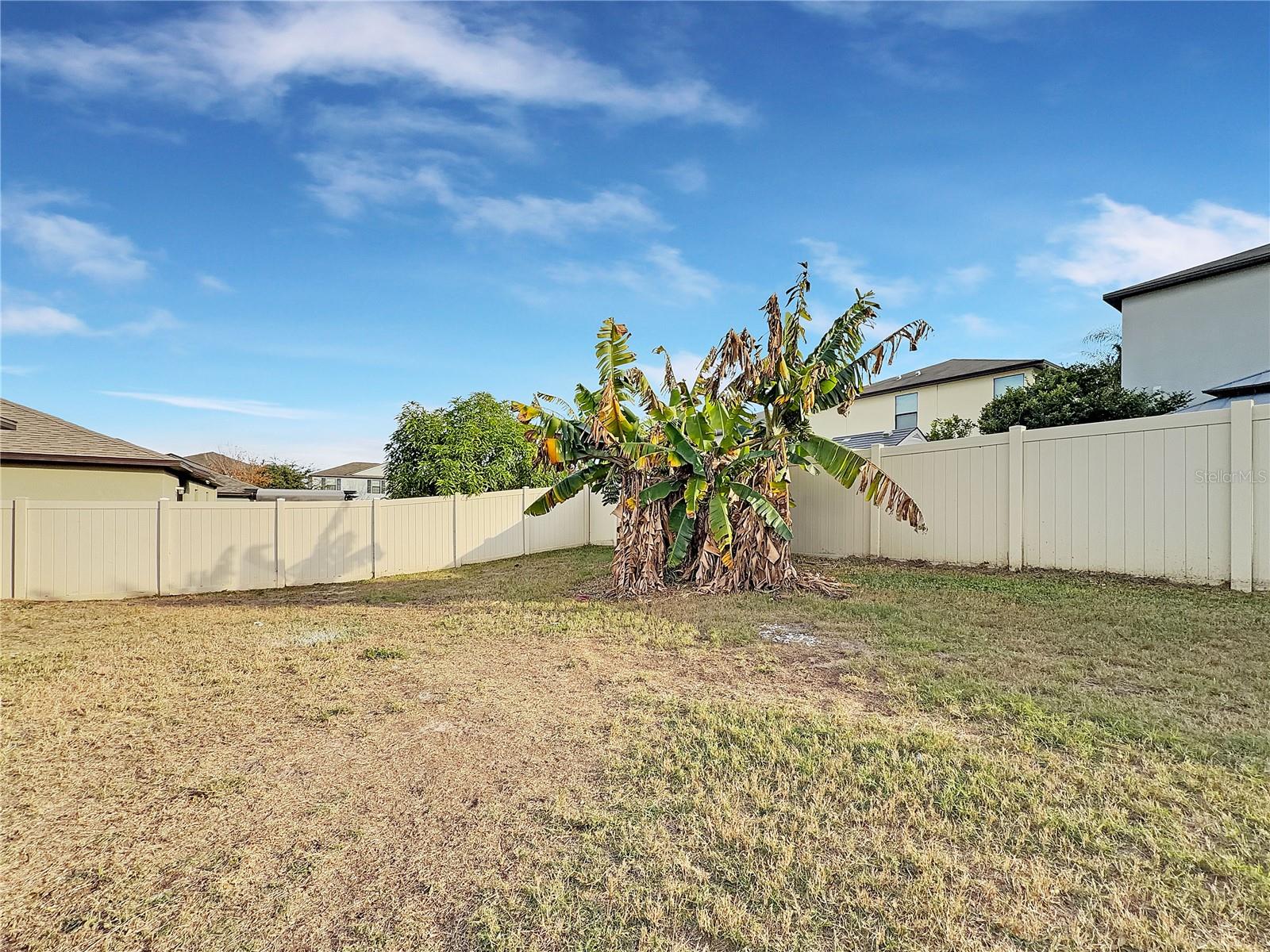 Single Family Residence at 10113 ROSEMARY LEAF LN, RIVERVIEW, photo 21 of 22