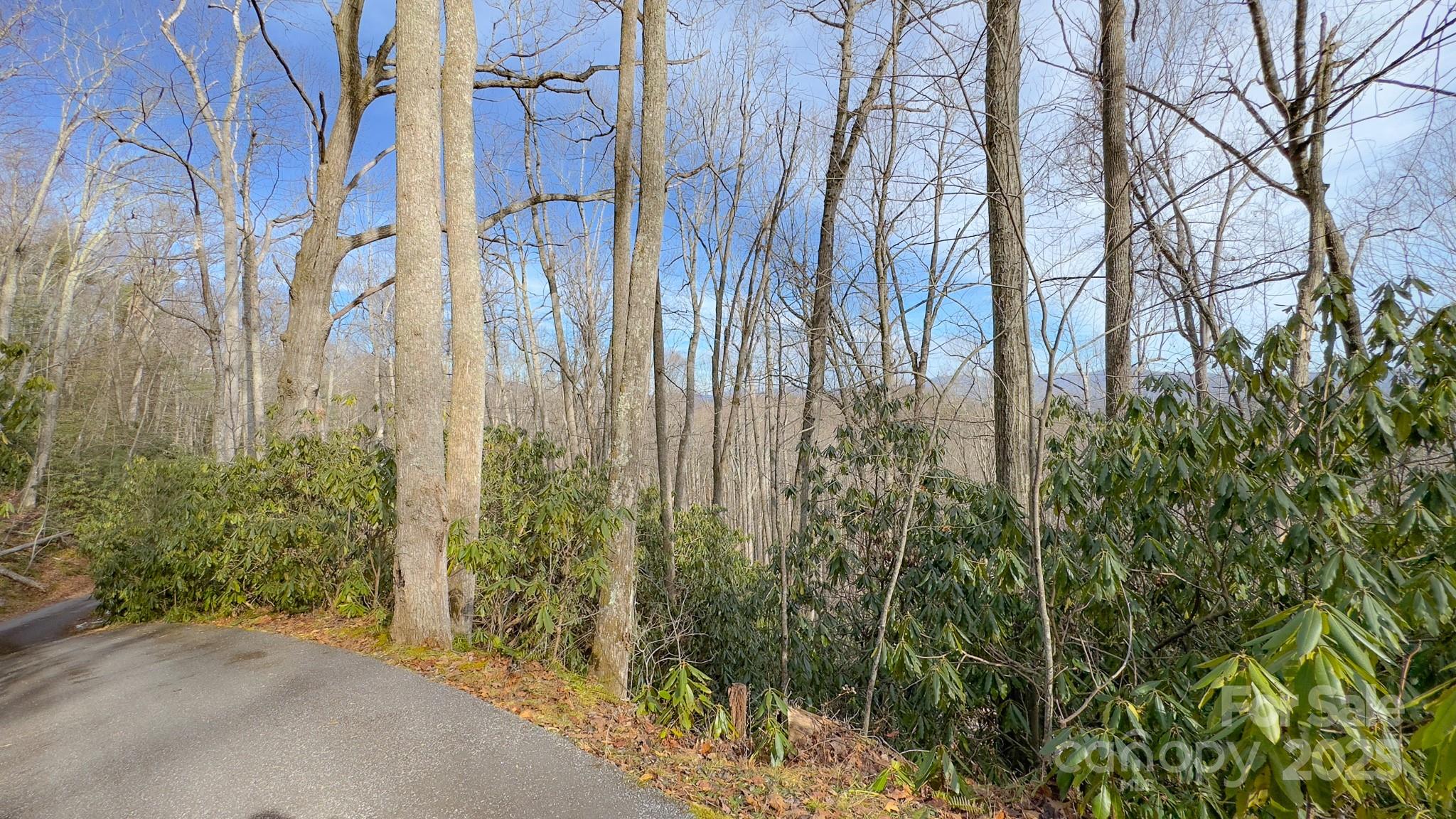 View from SW Corner - TBD High Acres Road, Spruce Pine