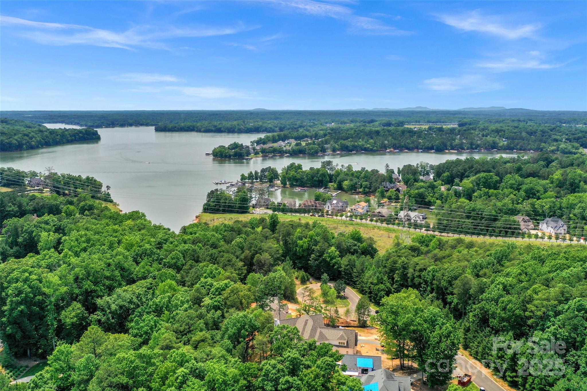 Aerial View - 5040 Hermitage Court, Belmont