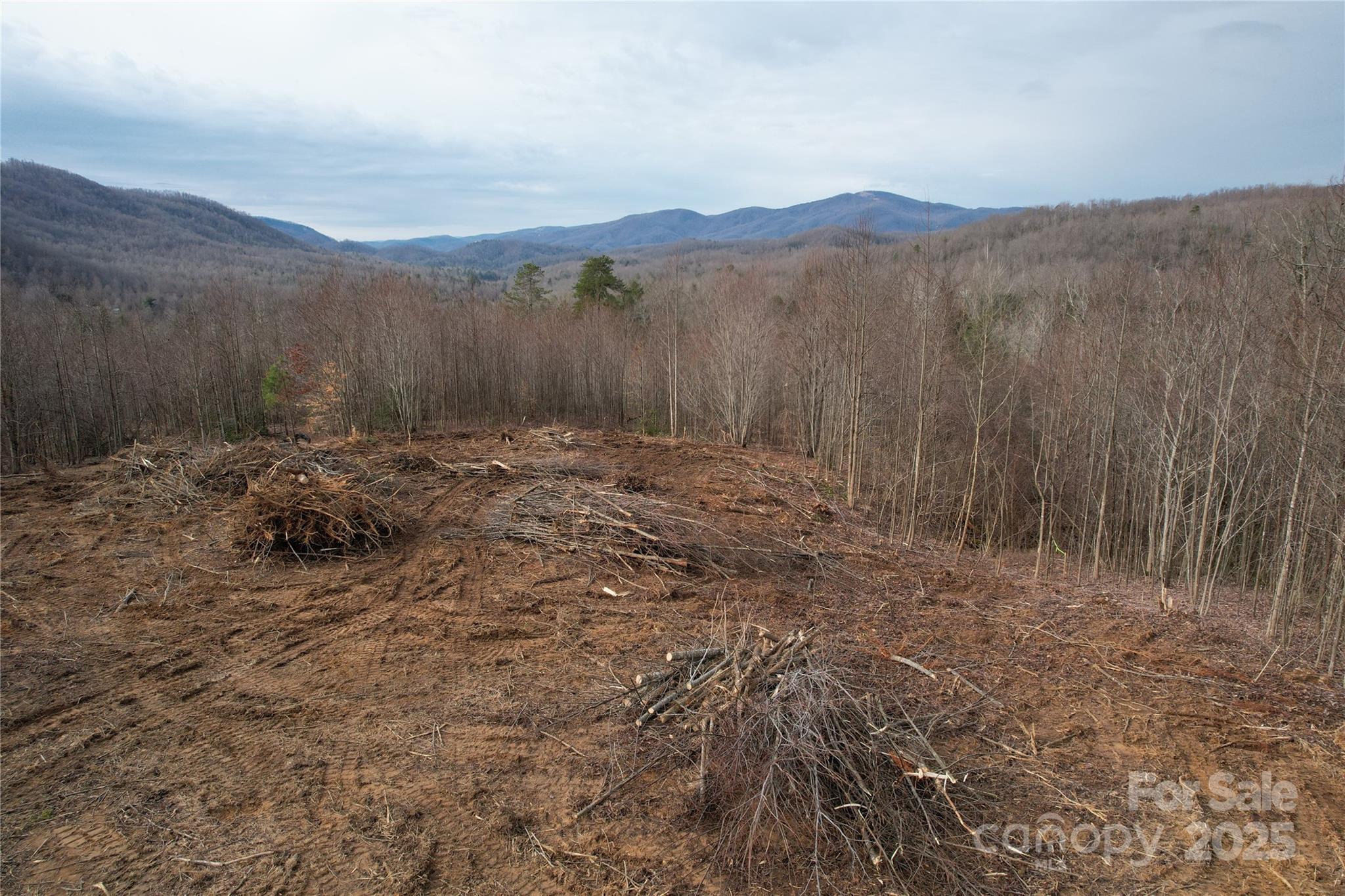 Lot at 55 Major Mountain Road, Black Mountain, photo 8 of 9