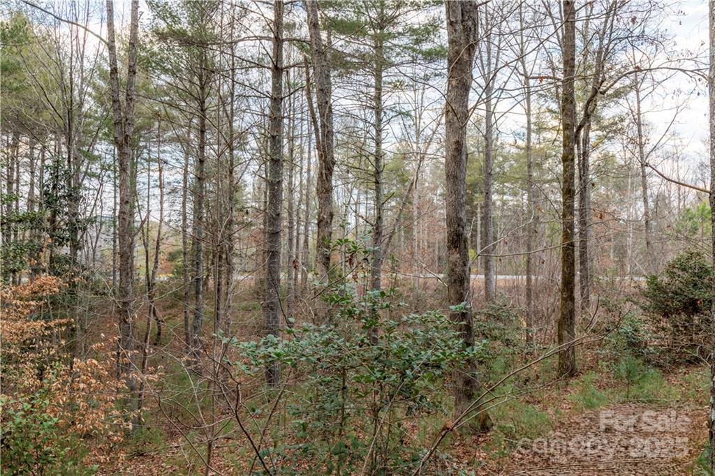 Lot at 1209 Lakeside Way NW, Valdese, photo 3 of 11