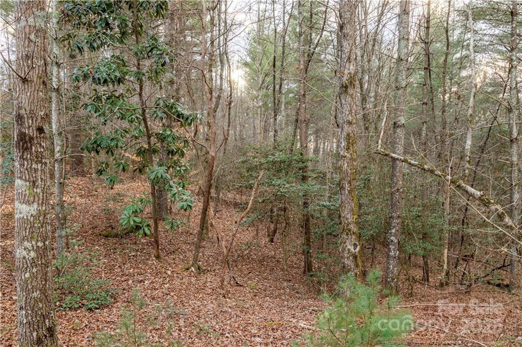 Lot at 1209 Lakeside Way NW, Valdese, photo 4 of 11