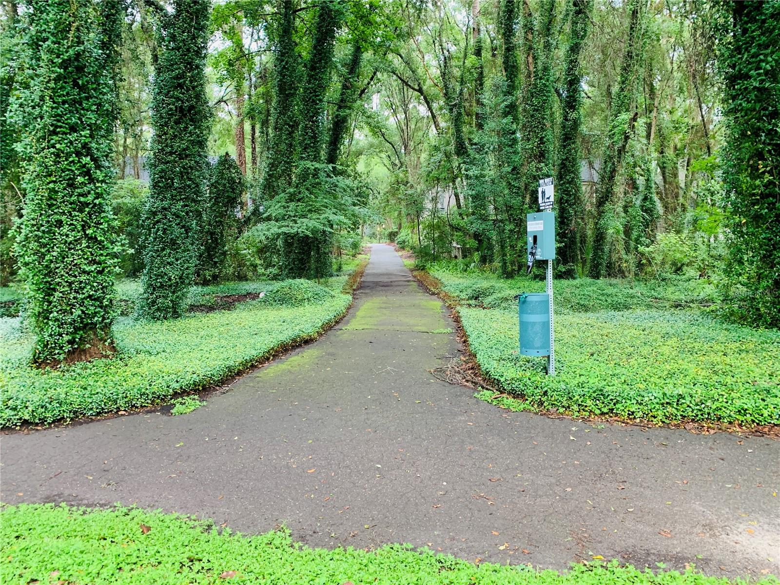 Haile Plantation walking trails - 10000 SW 52ND AVE #60, GAINESVILLE