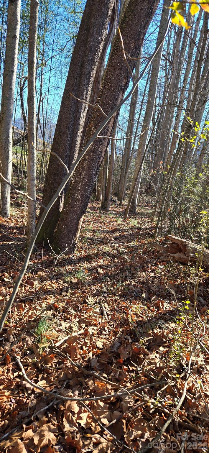 Lot at Lot 3 Turtle Rock Lane, Waynesville, photo 17 of 30