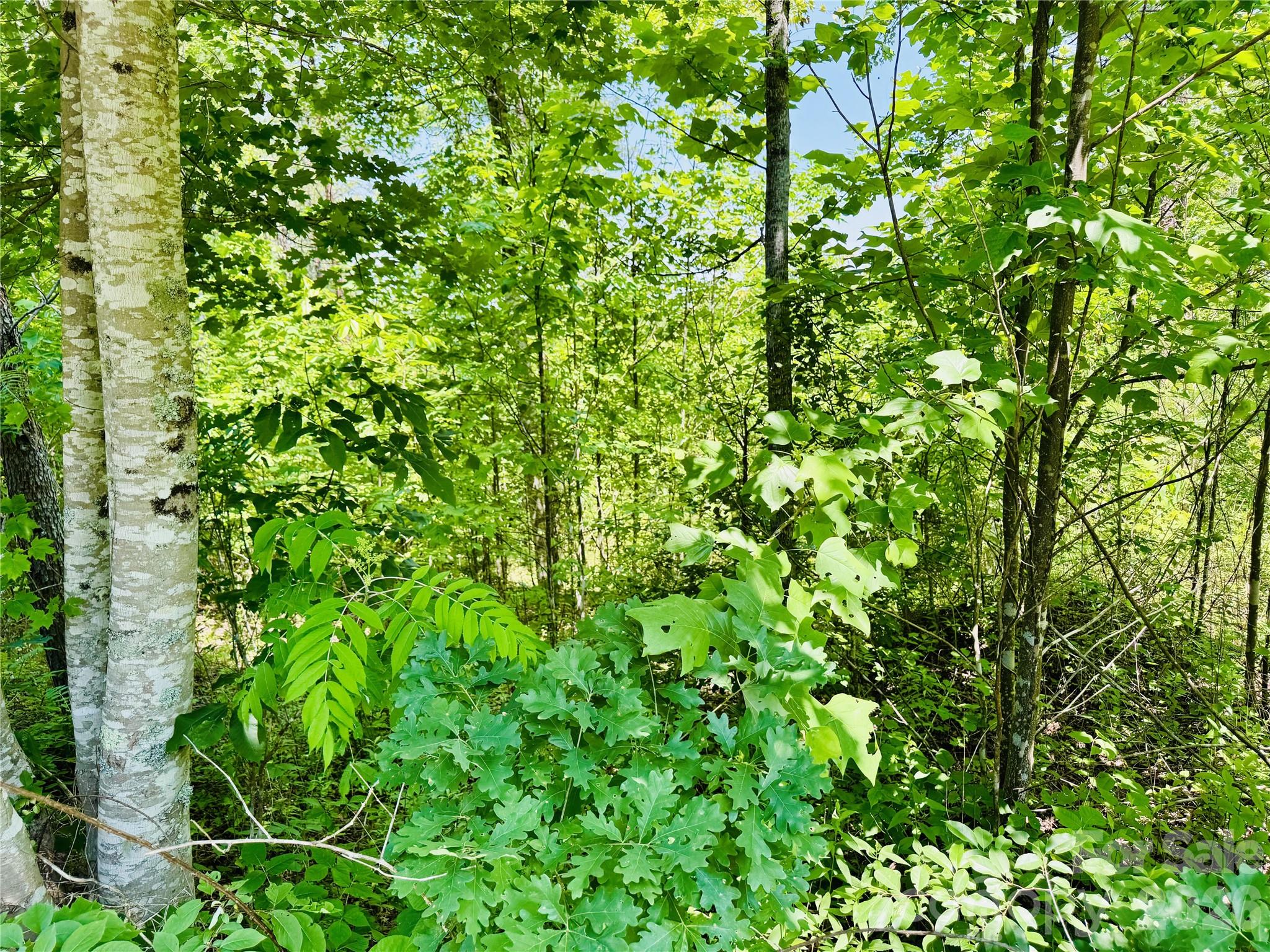 Lot at 2.66 acres, Lot 903 High Valley Way, Lenoir, photo 4 of 44