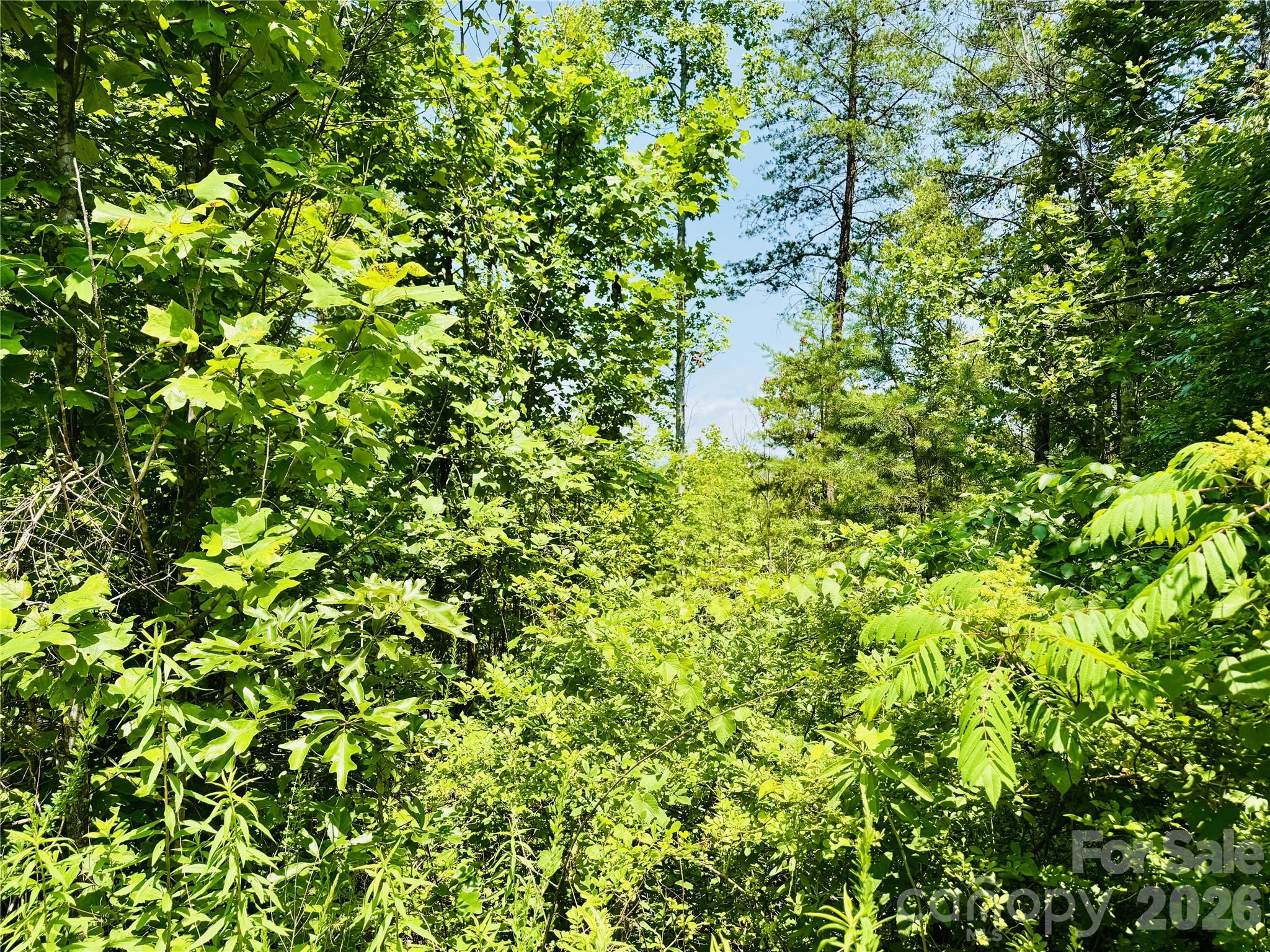 Lot at 2.66 acres, Lot 903 High Valley Way, Lenoir, photo 5 of 44