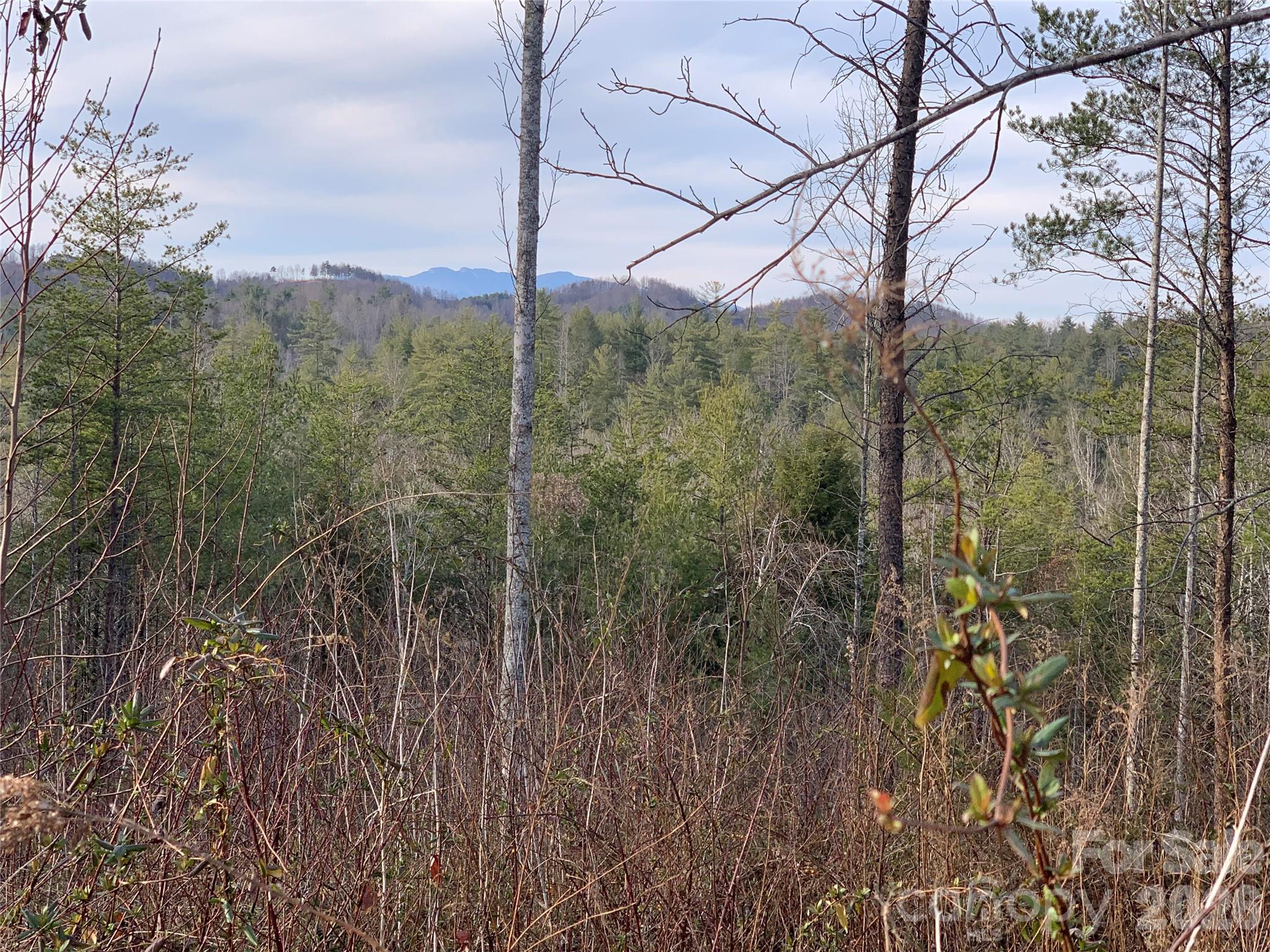 Lot at 2.66 acres, Lot 903 High Valley Way, Lenoir, photo 9 of 44