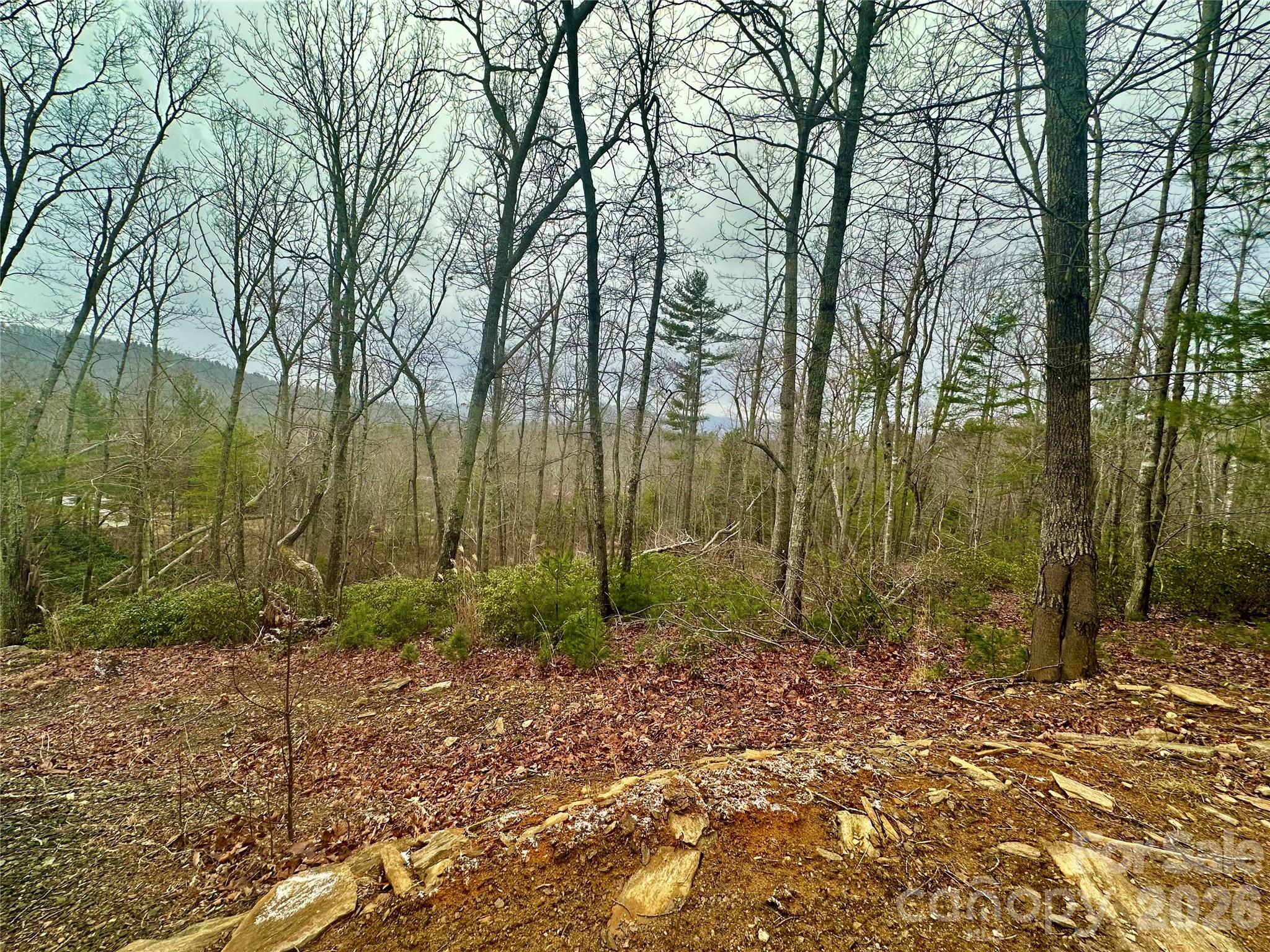 000 Orchard View Trail