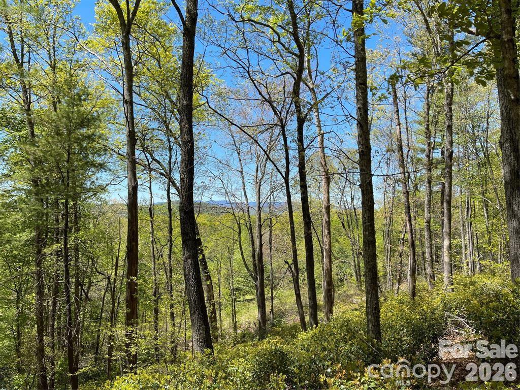Lot at 000 Orchard View Trail, Spruce Pine, photo 2 of 20