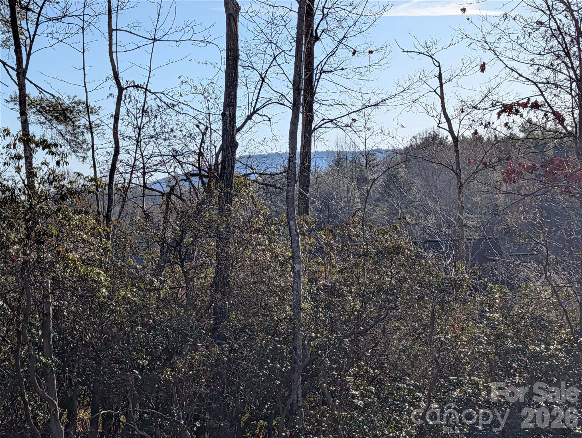 00 Winterberry Drive
