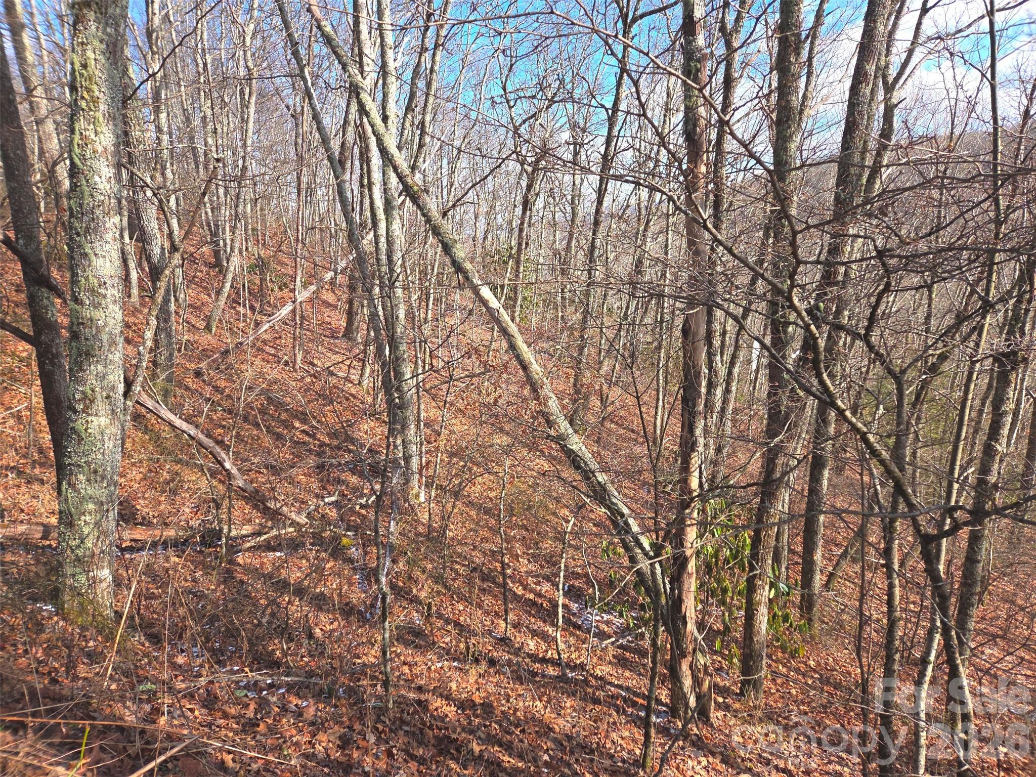 Lot at 220 Sky Drive, Maggie Valley, photo 10 of 19