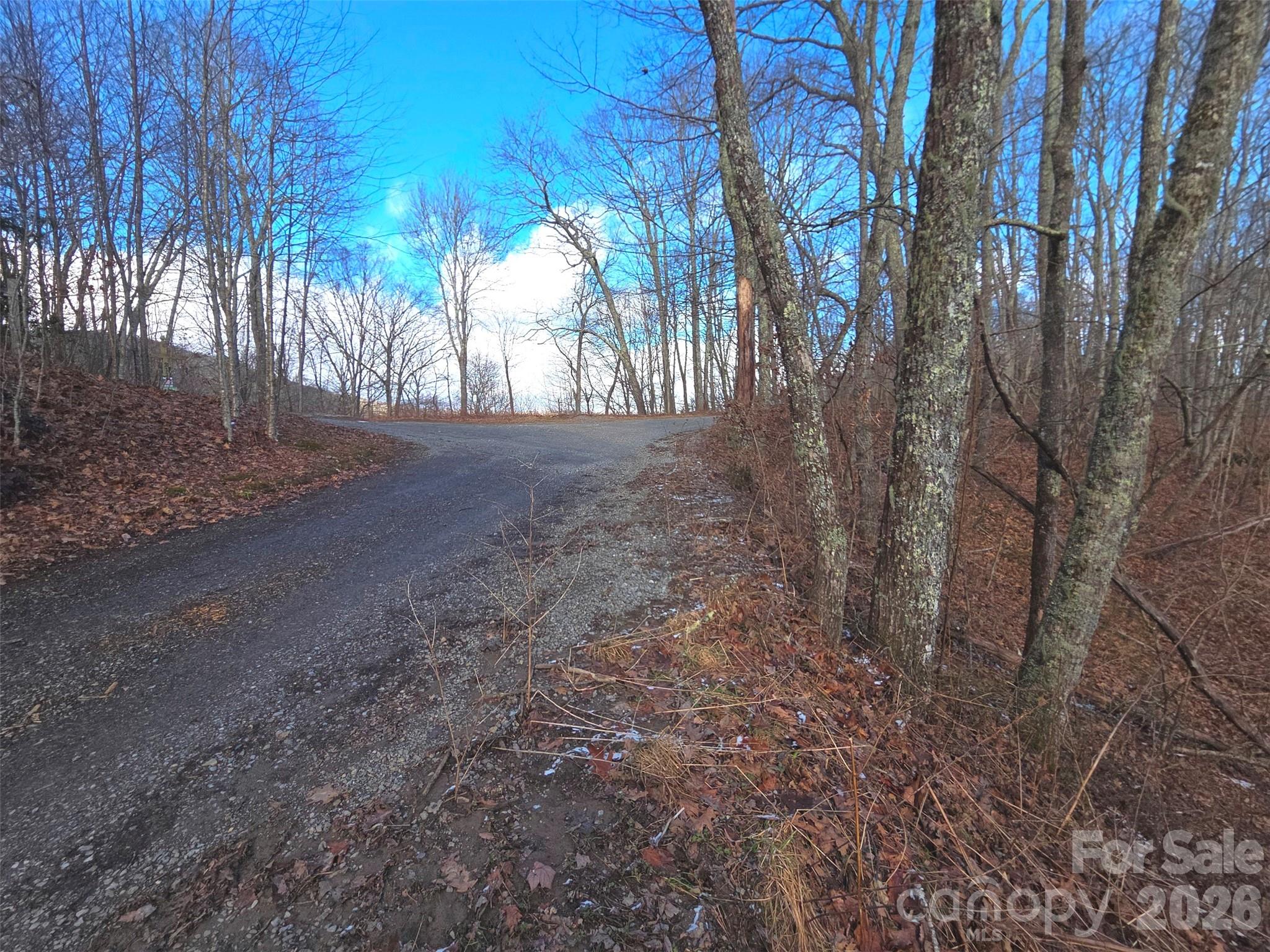 Lot at 220 Sky Drive, Maggie Valley, photo 13 of 19