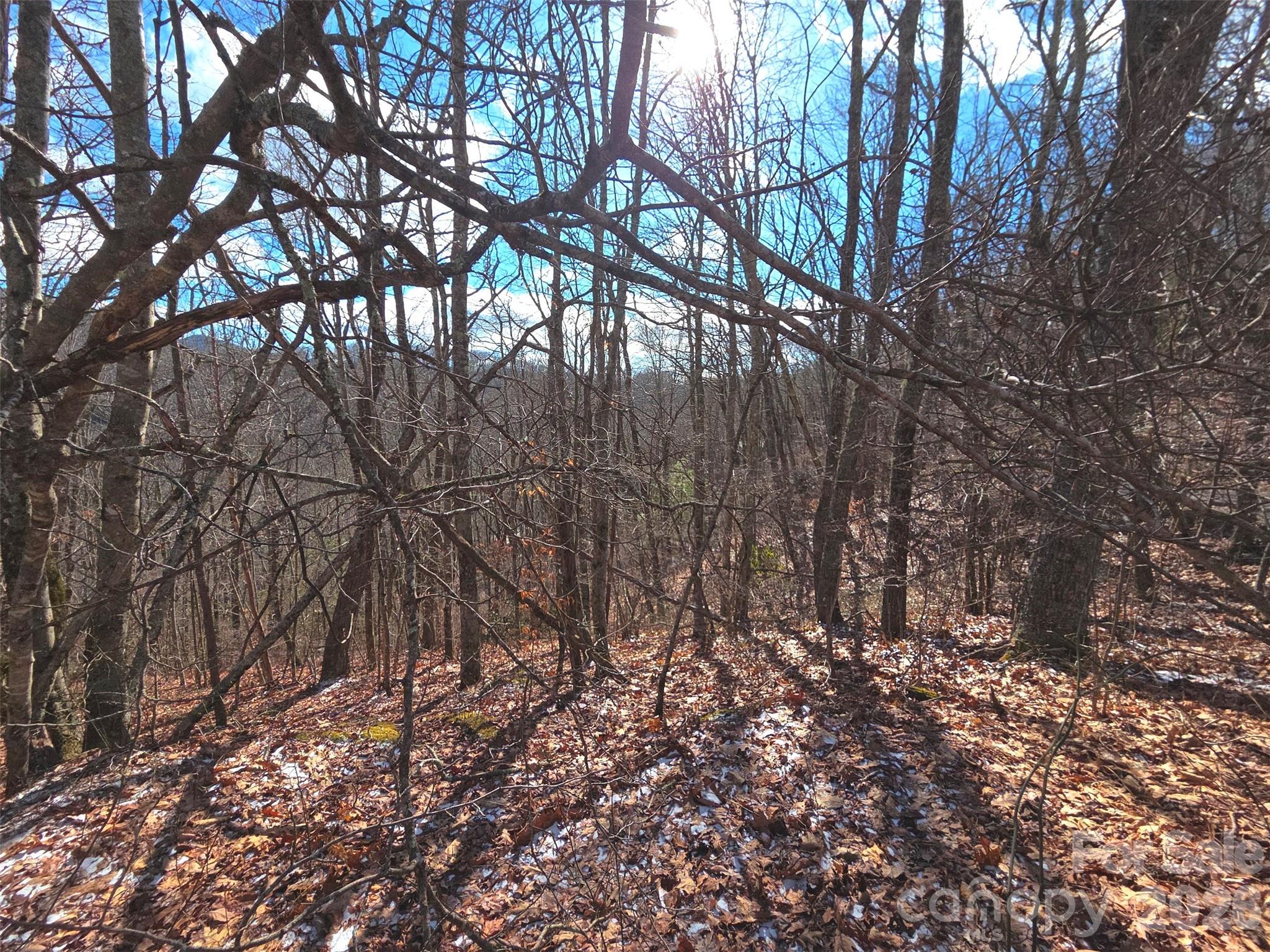 Lot at 220 Sky Drive, Maggie Valley, photo 4 of 19
