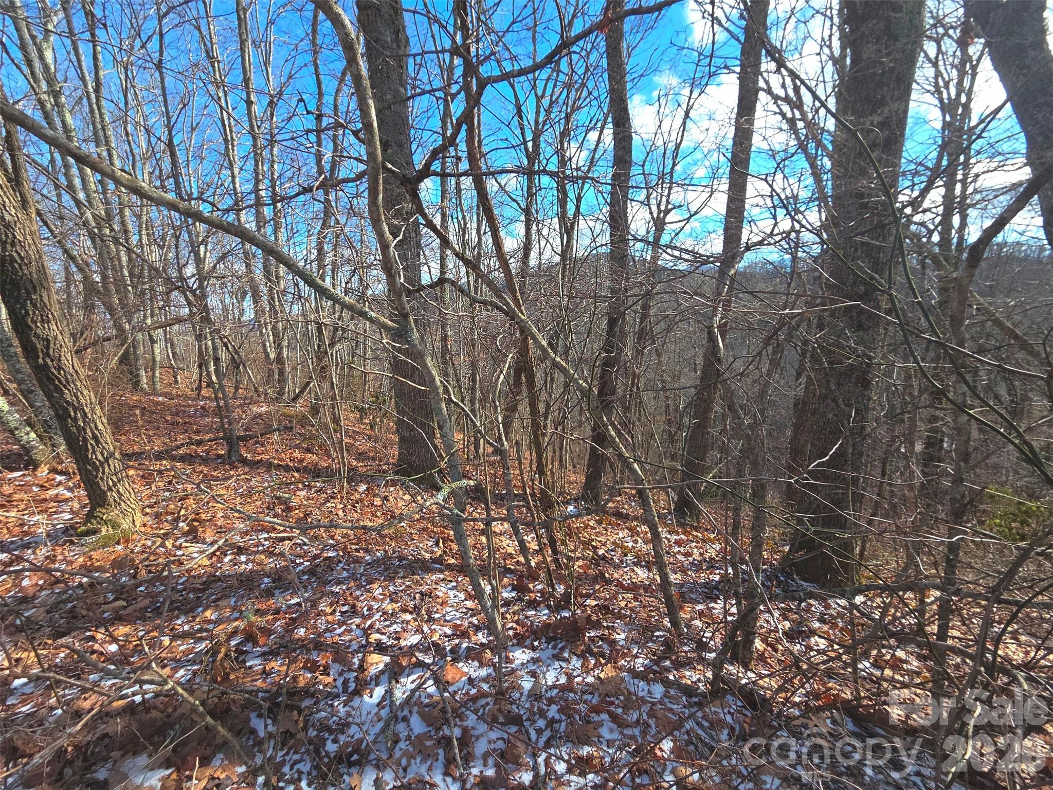 Lot at 220 Sky Drive, Maggie Valley, photo 8 of 19